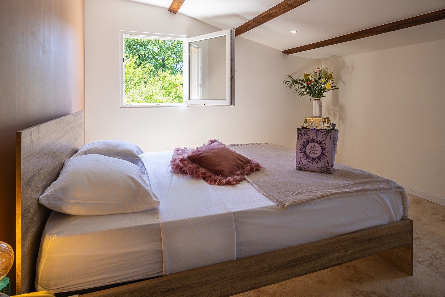 luxury house 10 Rooms for sale on RUSTREL (84400)
