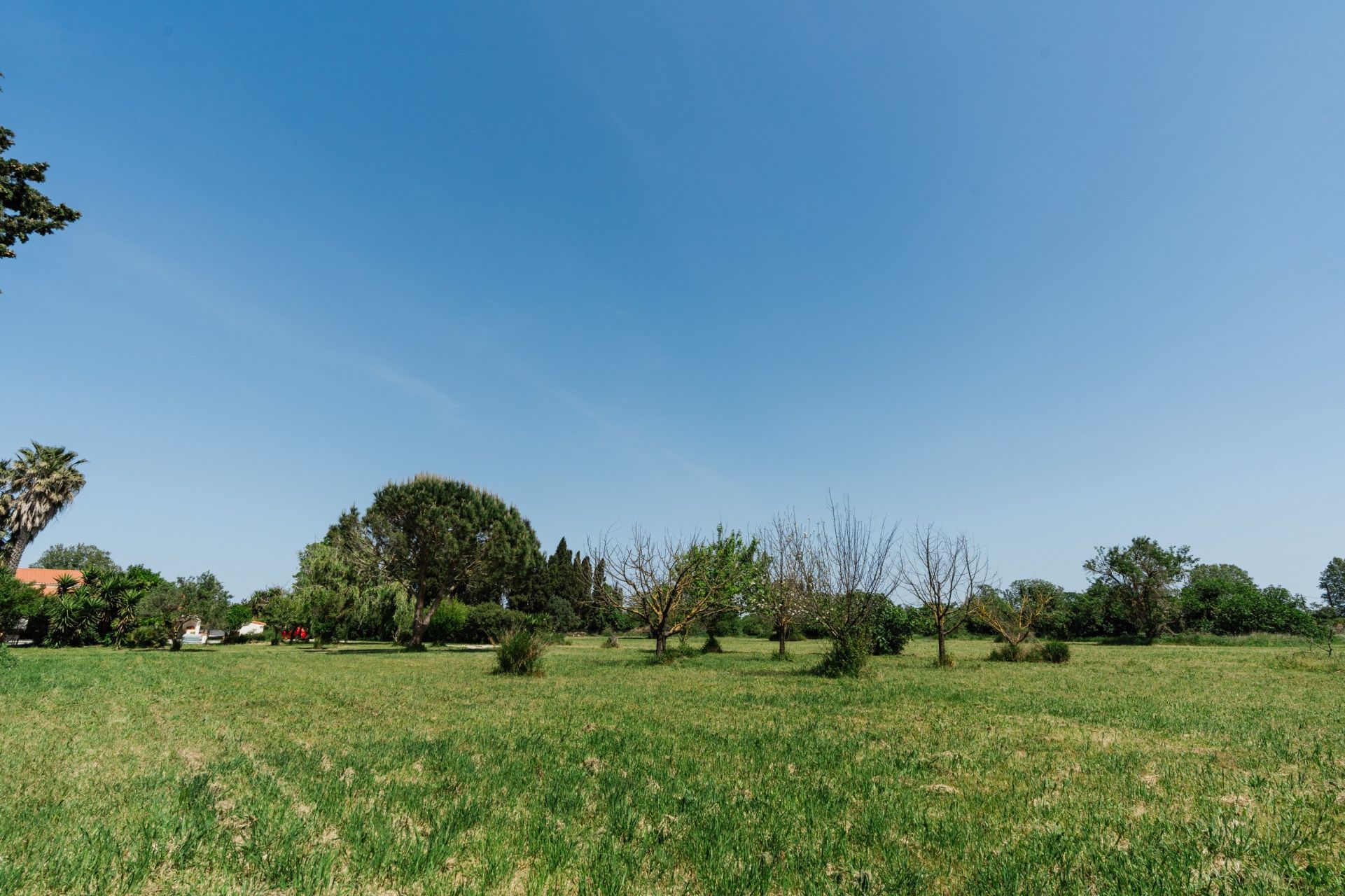 maison de luxe 6 Pièces en vente sur PERPIGNAN (66000)