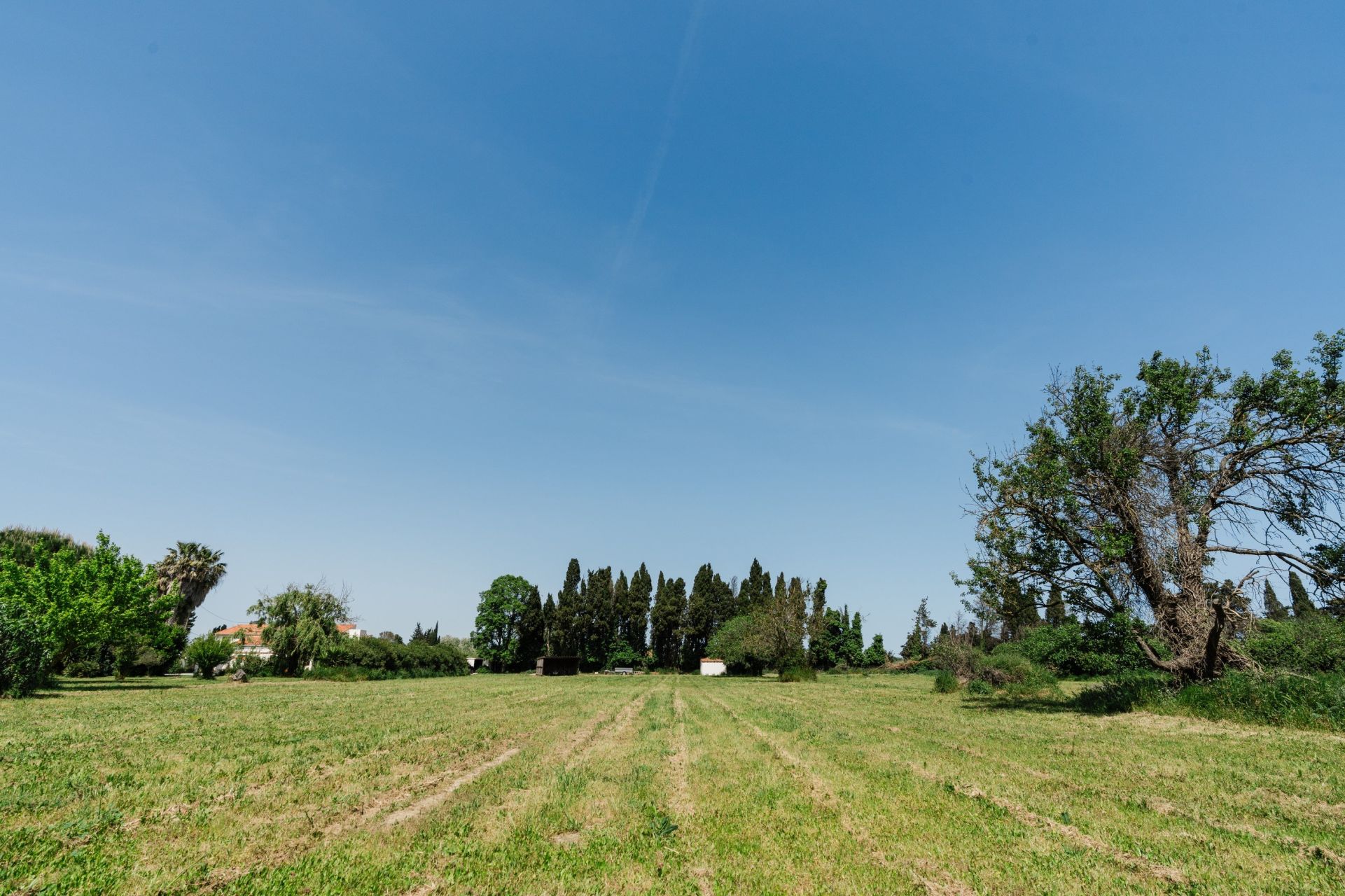 maison de luxe 6 Pièces en vente sur PERPIGNAN (66000)