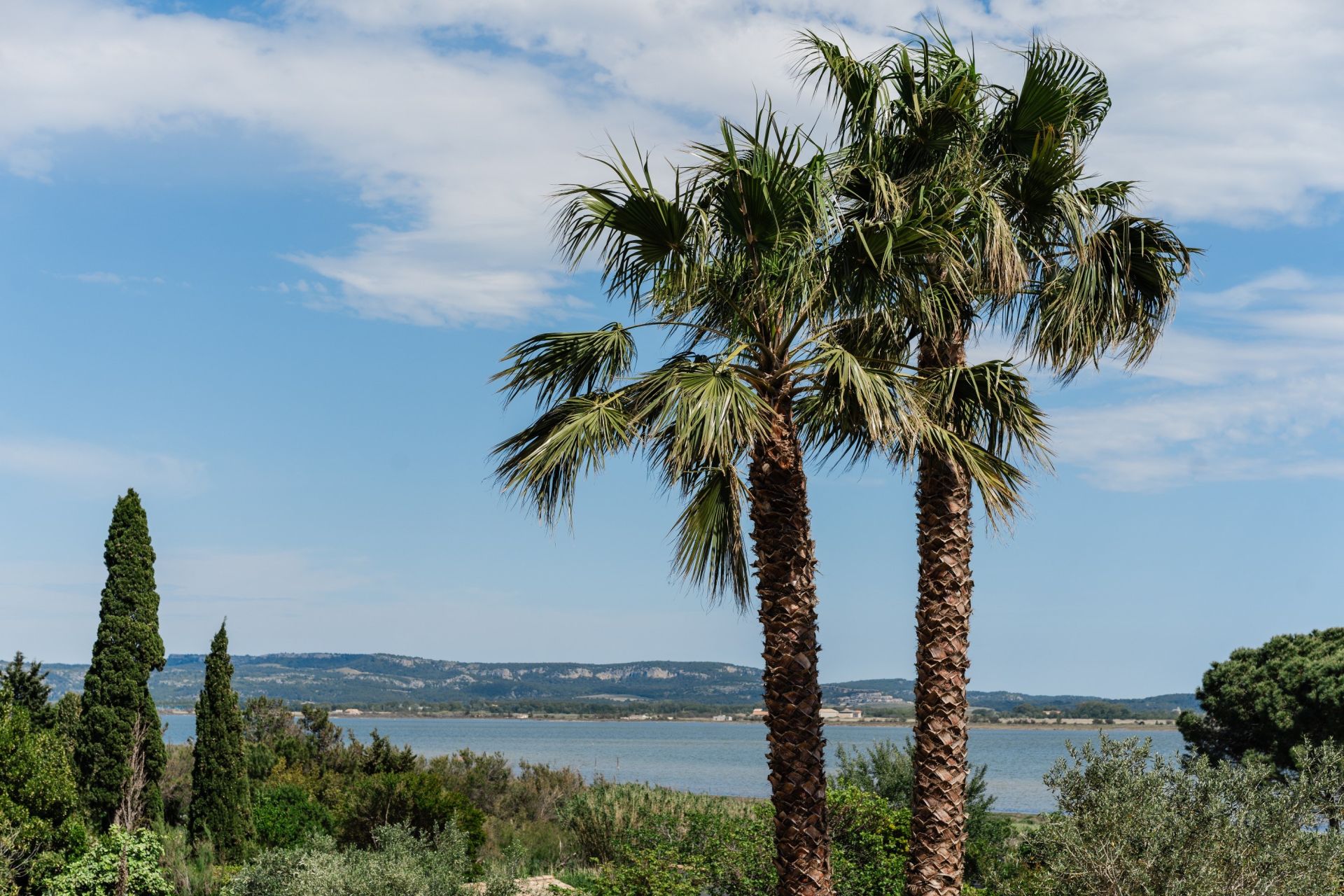 maison de luxe 6 Pièces en vente sur BAGES (11100)