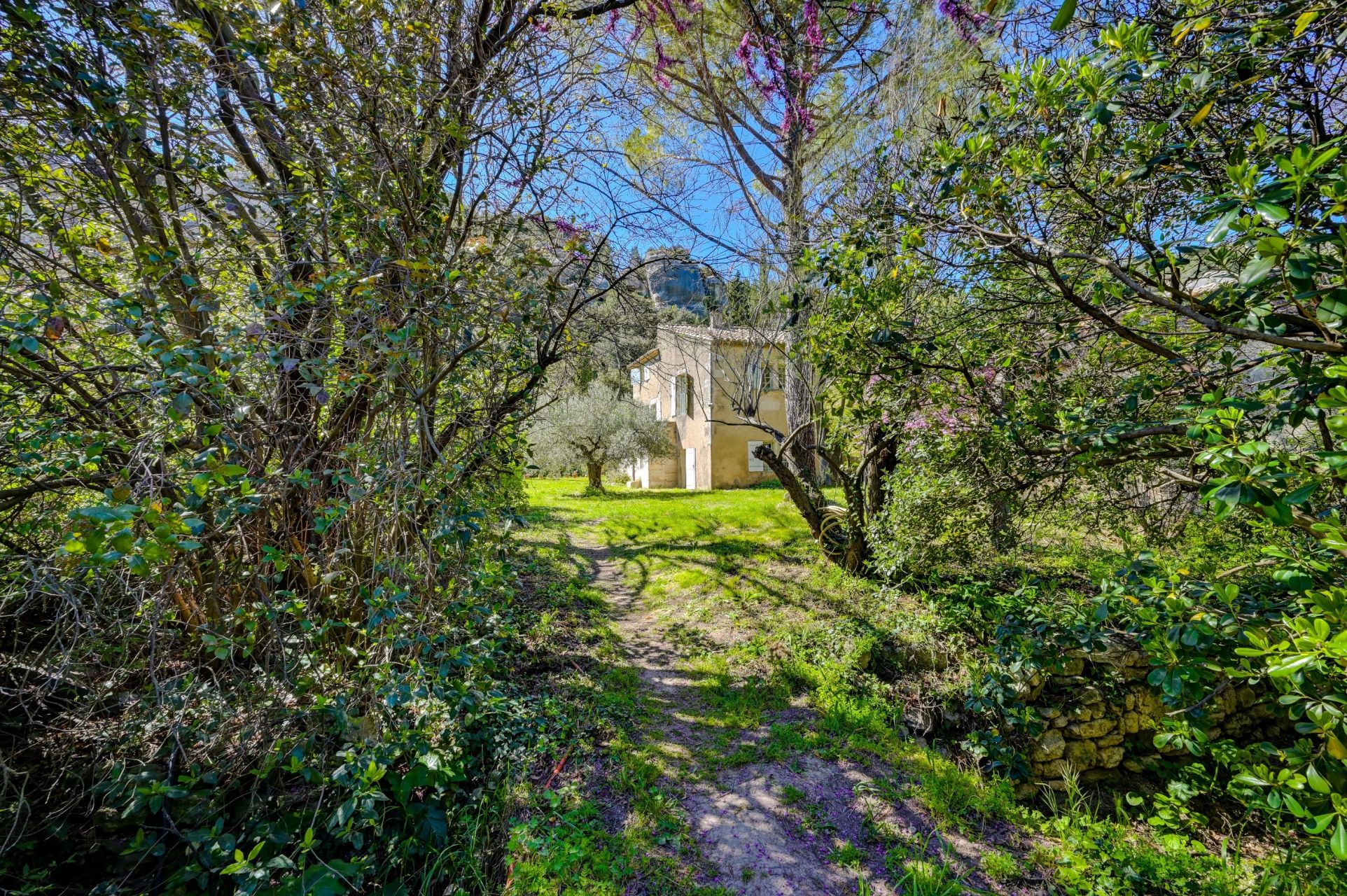 luxury house 13 Rooms for sale on LES BAUX DE PROVENCE (13520)