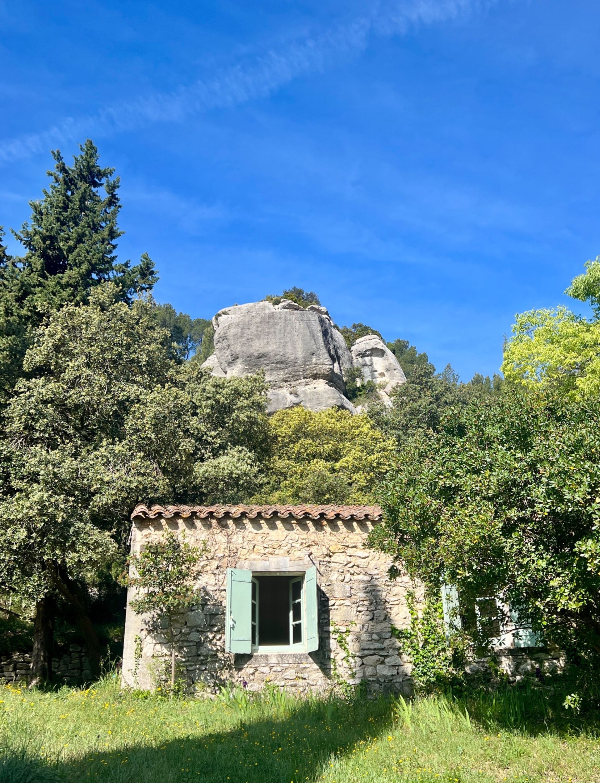 luxury house 13 Rooms for sale on LES BAUX DE PROVENCE (13520)