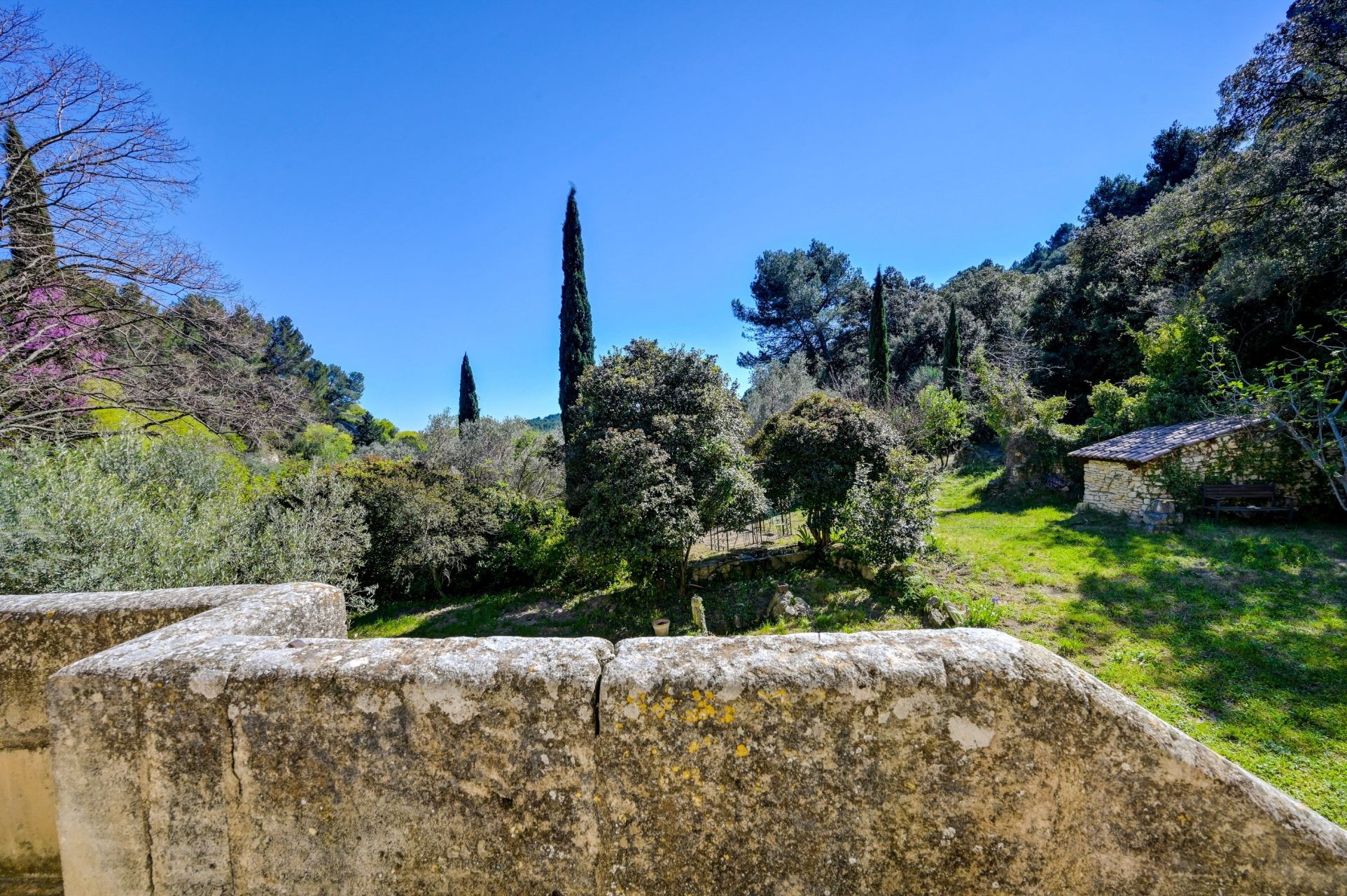 luxury house 13 Rooms for sale on LES BAUX DE PROVENCE (13520)