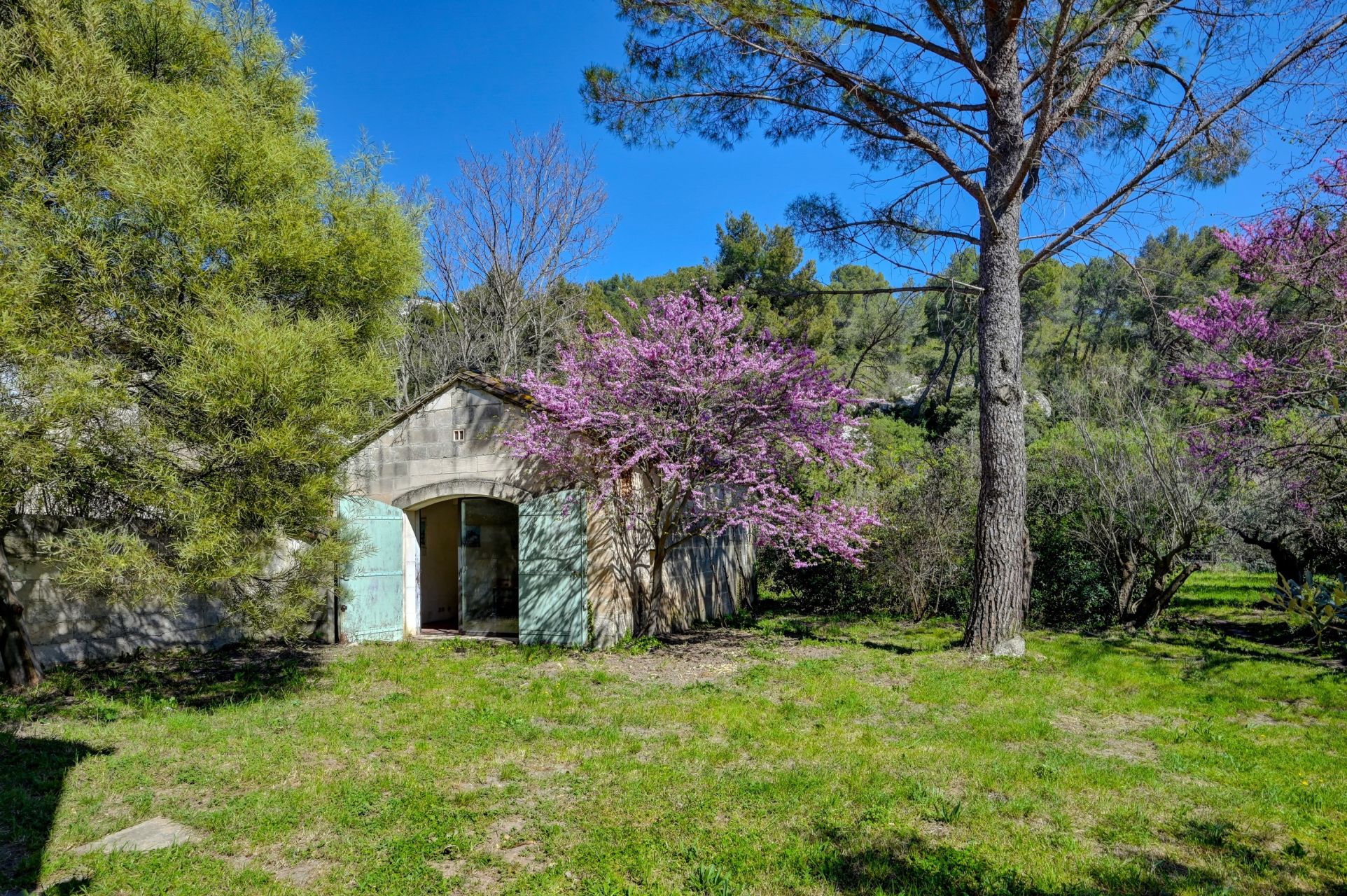 luxury house 13 Rooms for sale on LES BAUX DE PROVENCE (13520)