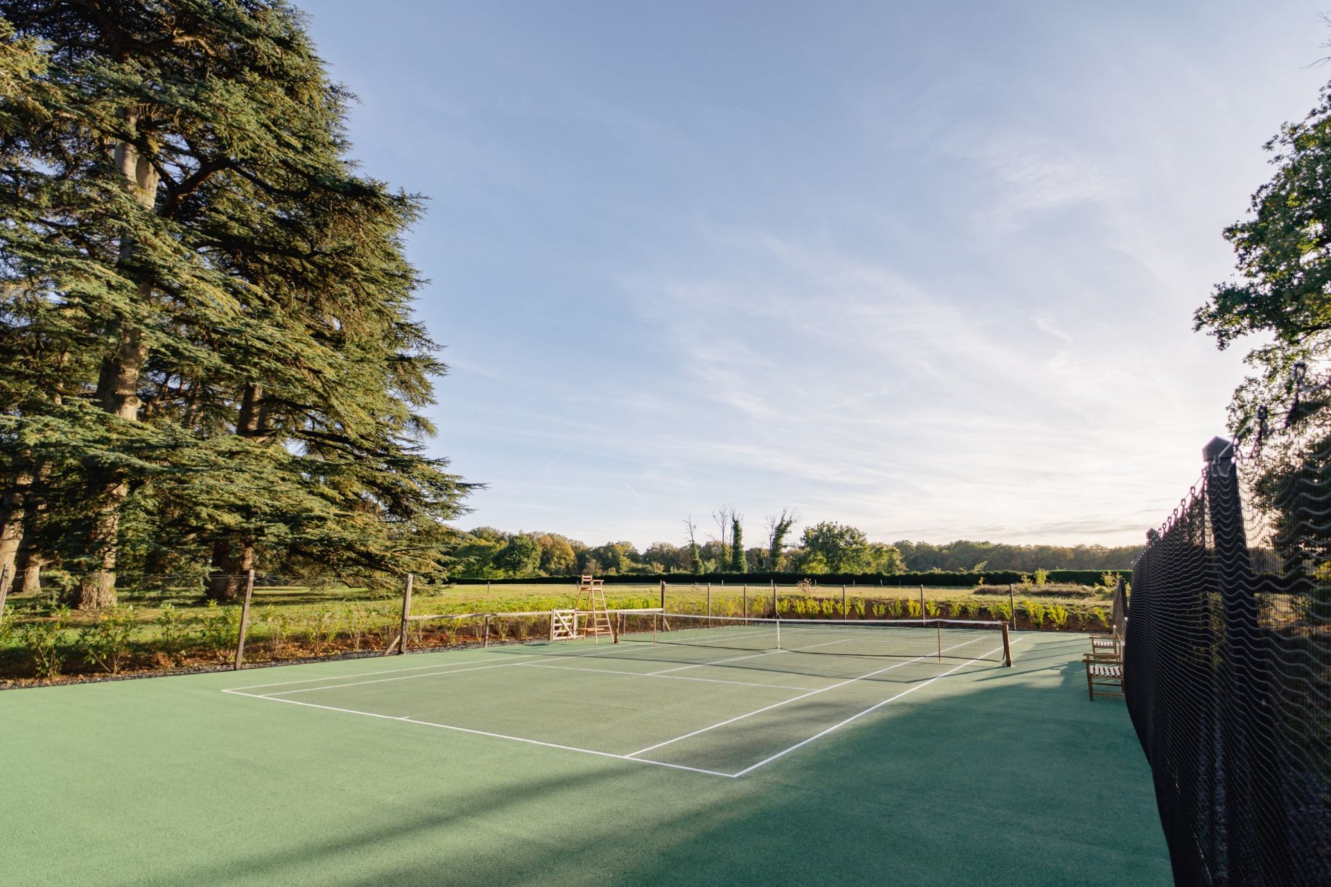 château 80 Pièces en vente sur CURZAY SUR VONNE (86600)