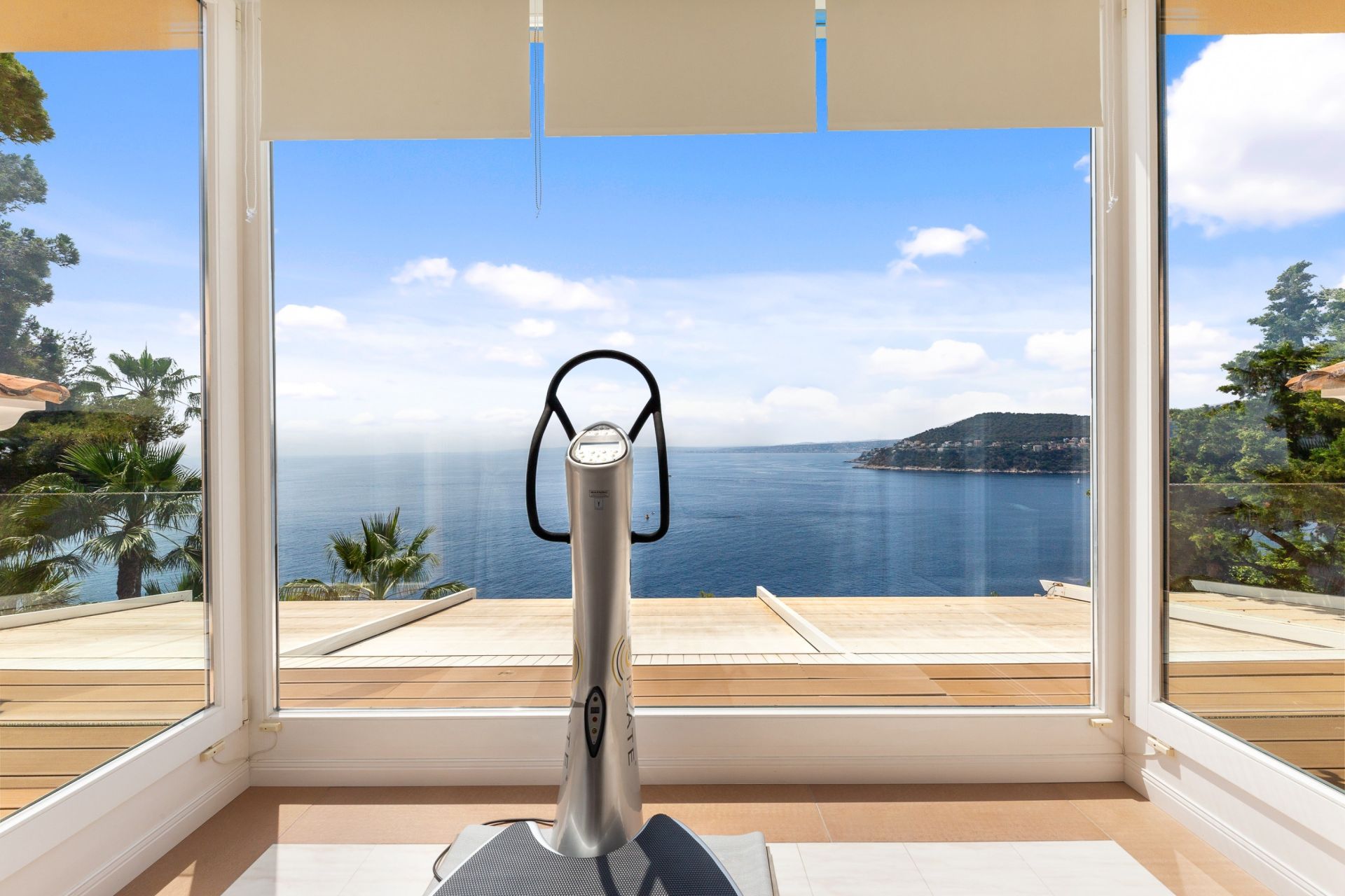 luxury property 10 Rooms for sale on ST JEAN CAP FERRAT (06230)