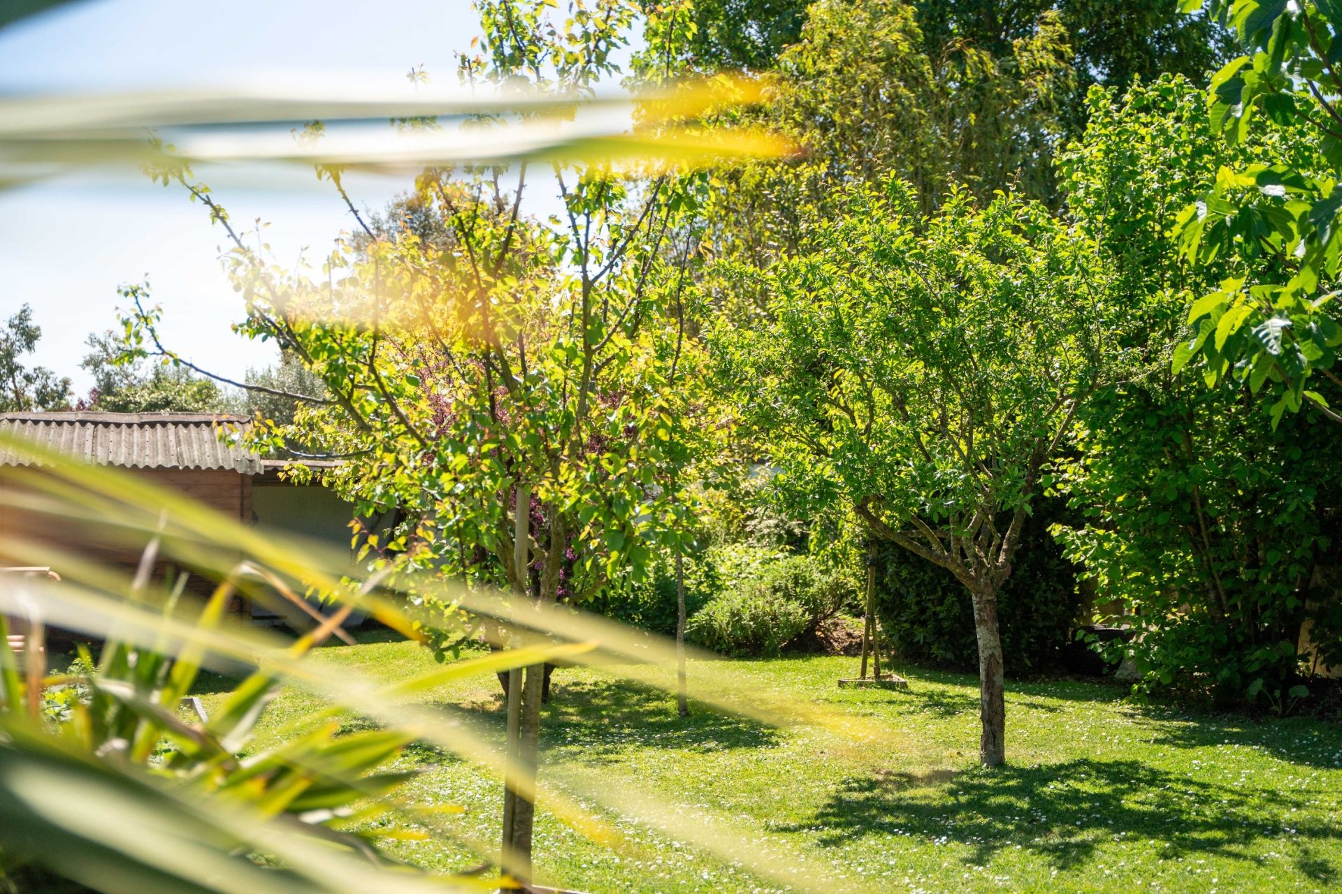 maison de luxe 7 Pièces en vente sur DOMPIERRE SUR MER (17139)