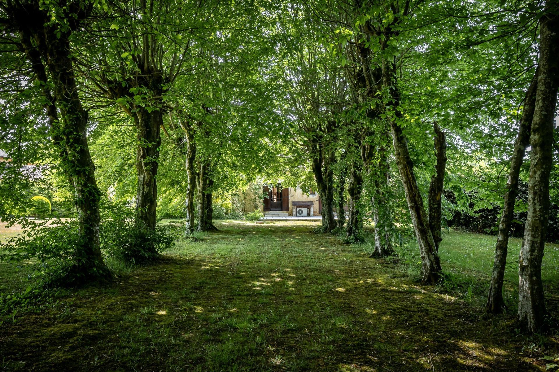 maison de luxe 15 Pièces en vente sur VERGT (24380)