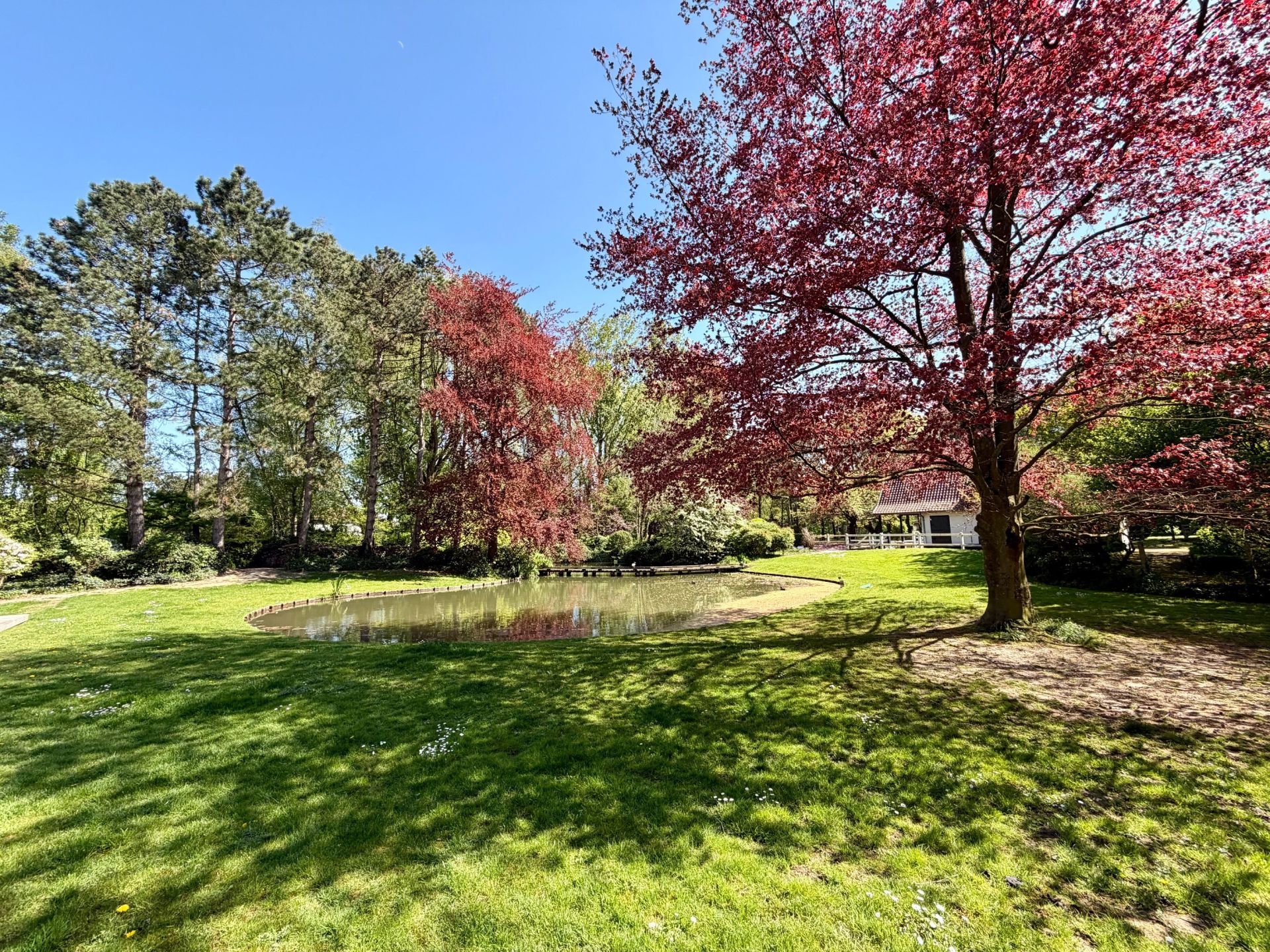 luxury house 15 Rooms for sale on MERIGNIES (59710)
