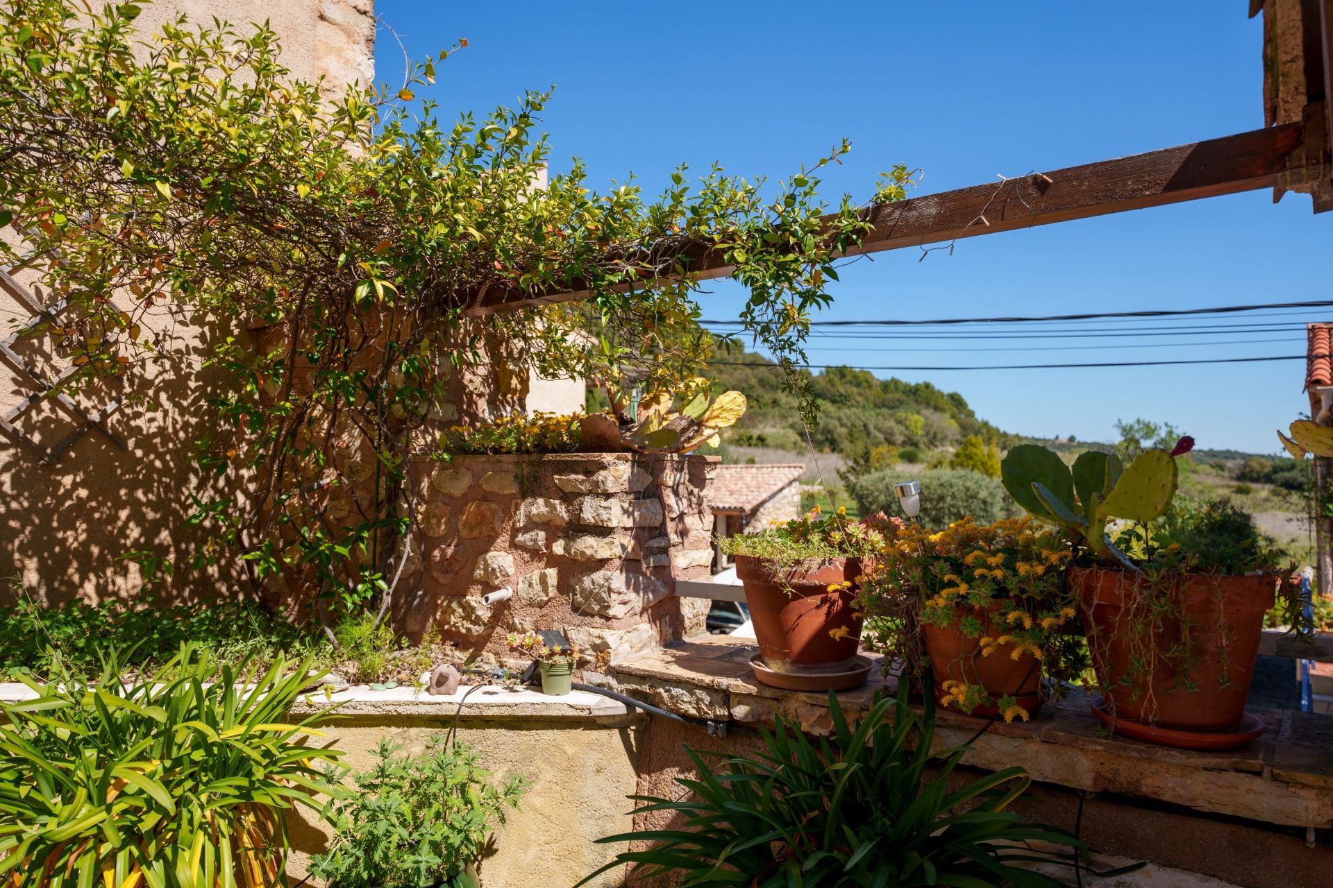 maison de luxe 13 Pièces en vente sur MONTPEYROUX (34150)
