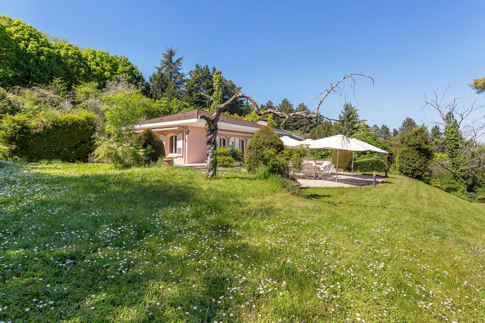 maison de luxe 7 Pièces en vente sur ST CYR AU MONT D OR (69450)
