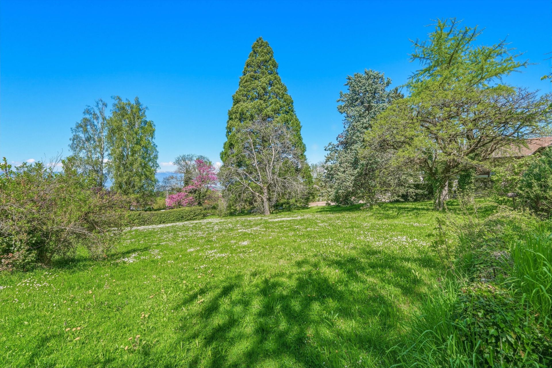luxury house 13 Rooms for sale on ARCHAMPS (74160)