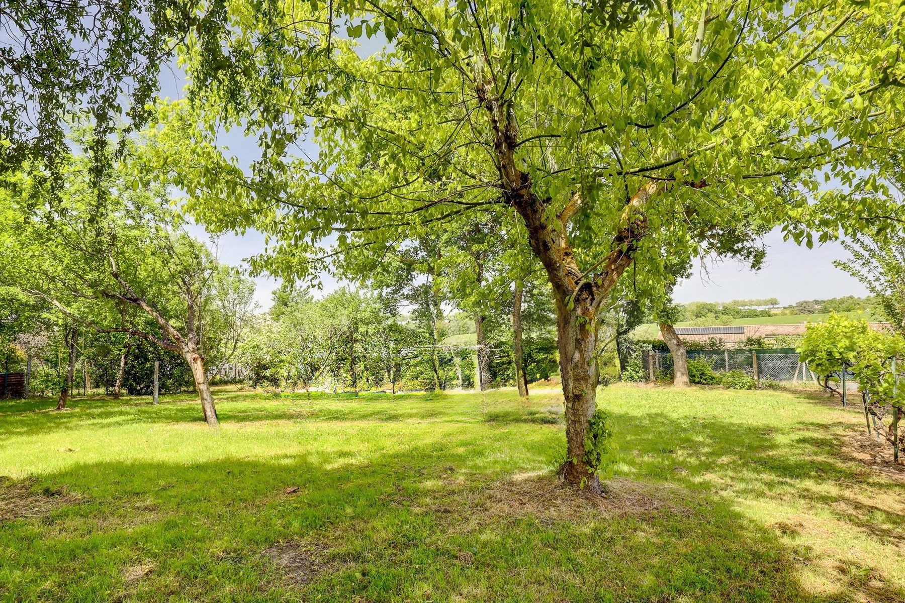 maison de luxe 11 Pièces en vente sur LAVALETTE (31590)