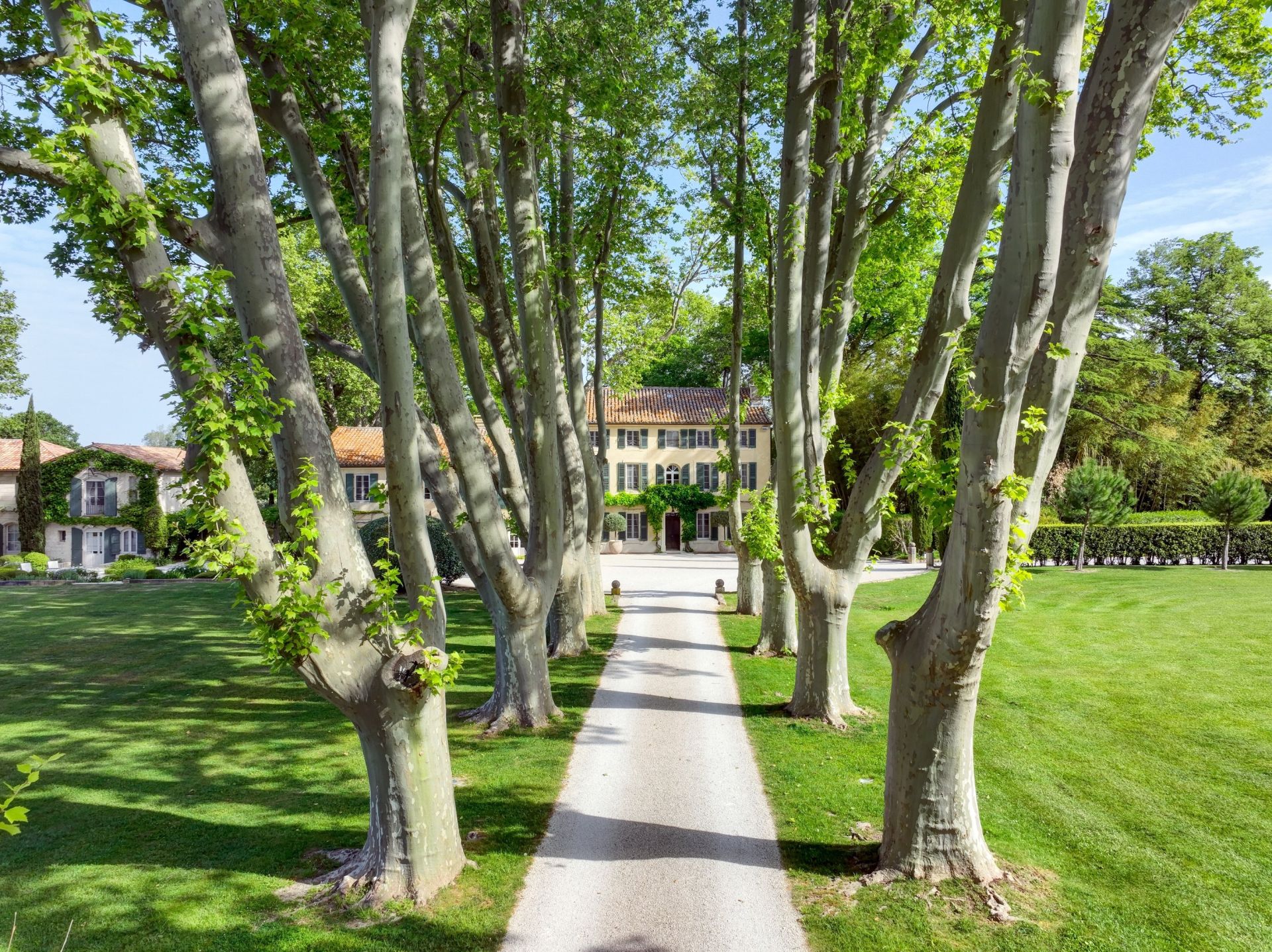 luxury house 23 Rooms for sale on ST REMY DE PROVENCE (13210)