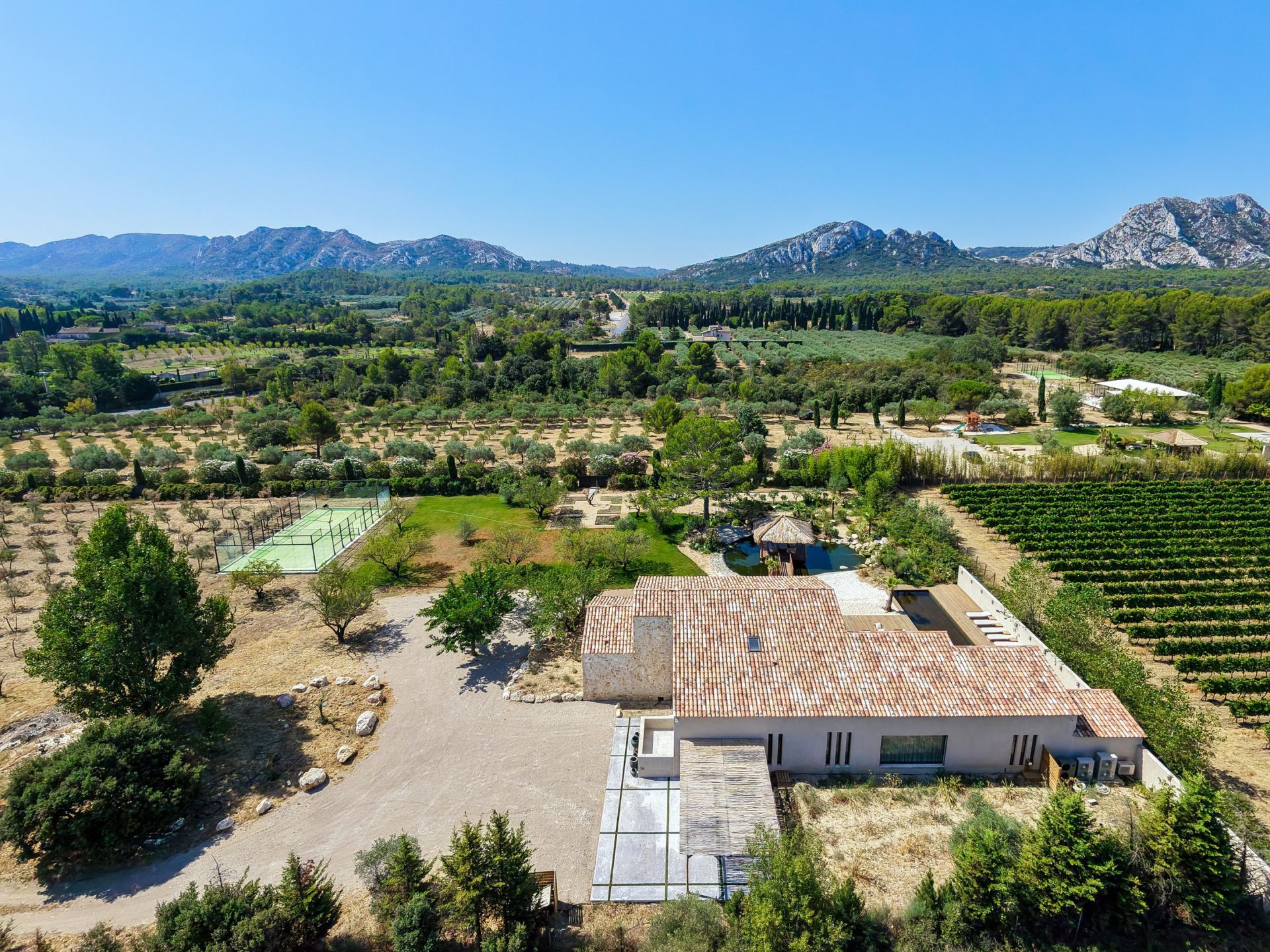 luxury house 8 Rooms for sale on EYGALIERES (13810)