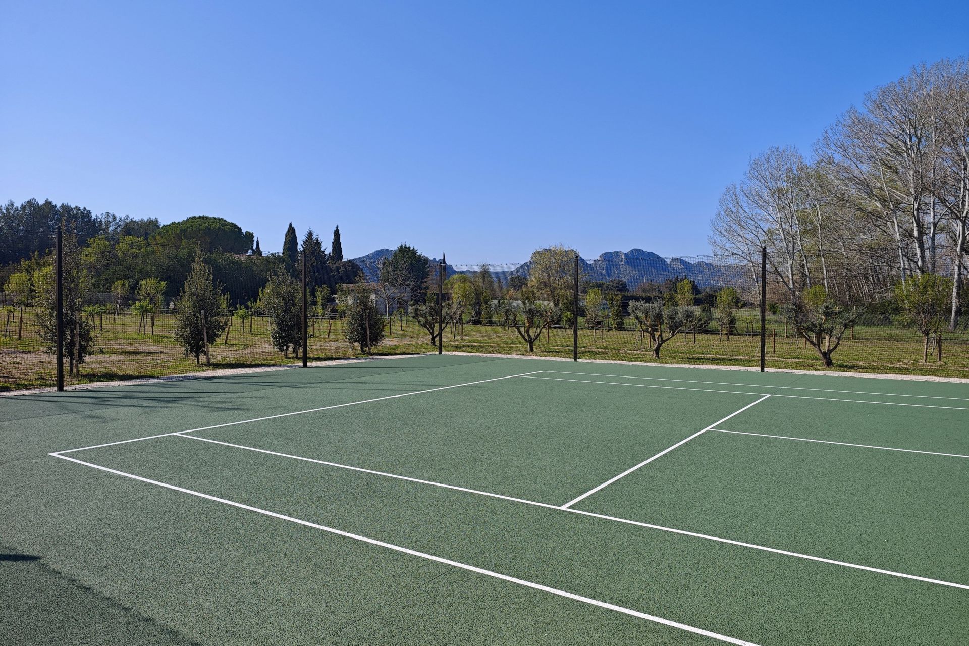 luxury house 10 Rooms for sale on EYGALIERES (13810)