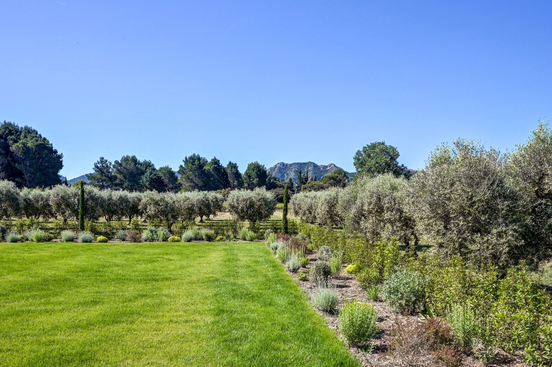luxury house 10 Rooms for sale on EYGALIERES (13810)