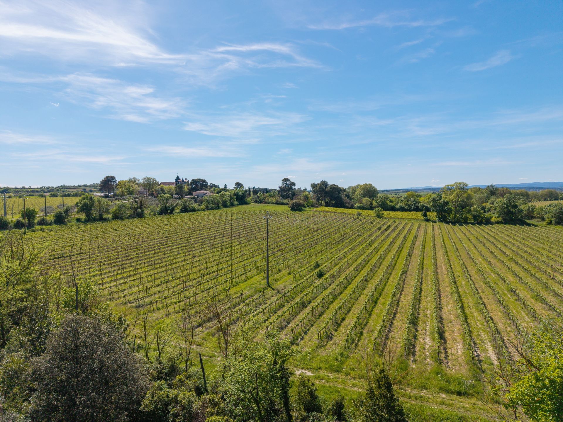 wine estate 26 Rooms for sale on BEZIERS (34500)
