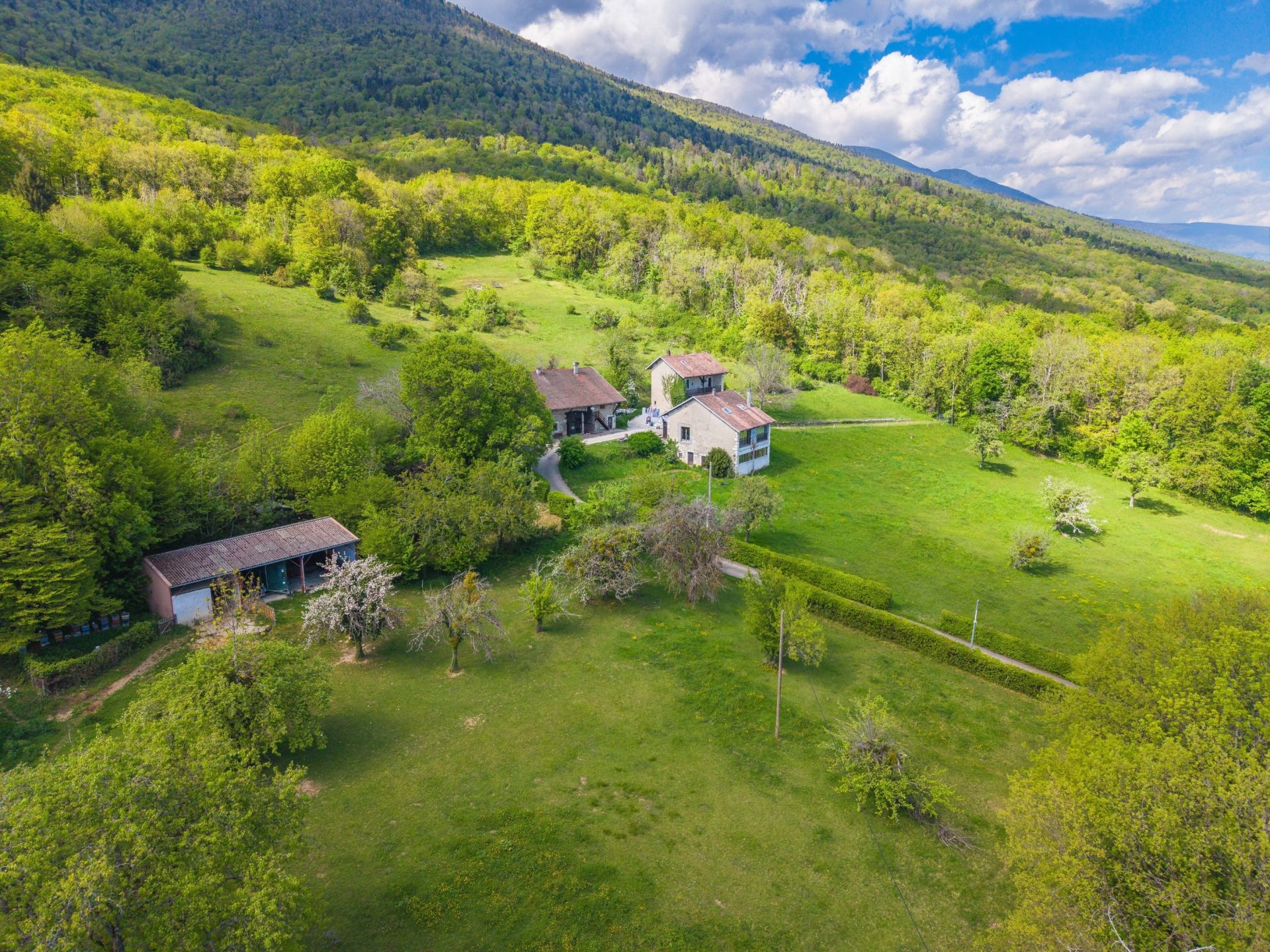 farm complex 8 Rooms for sale on SERGY (01630)