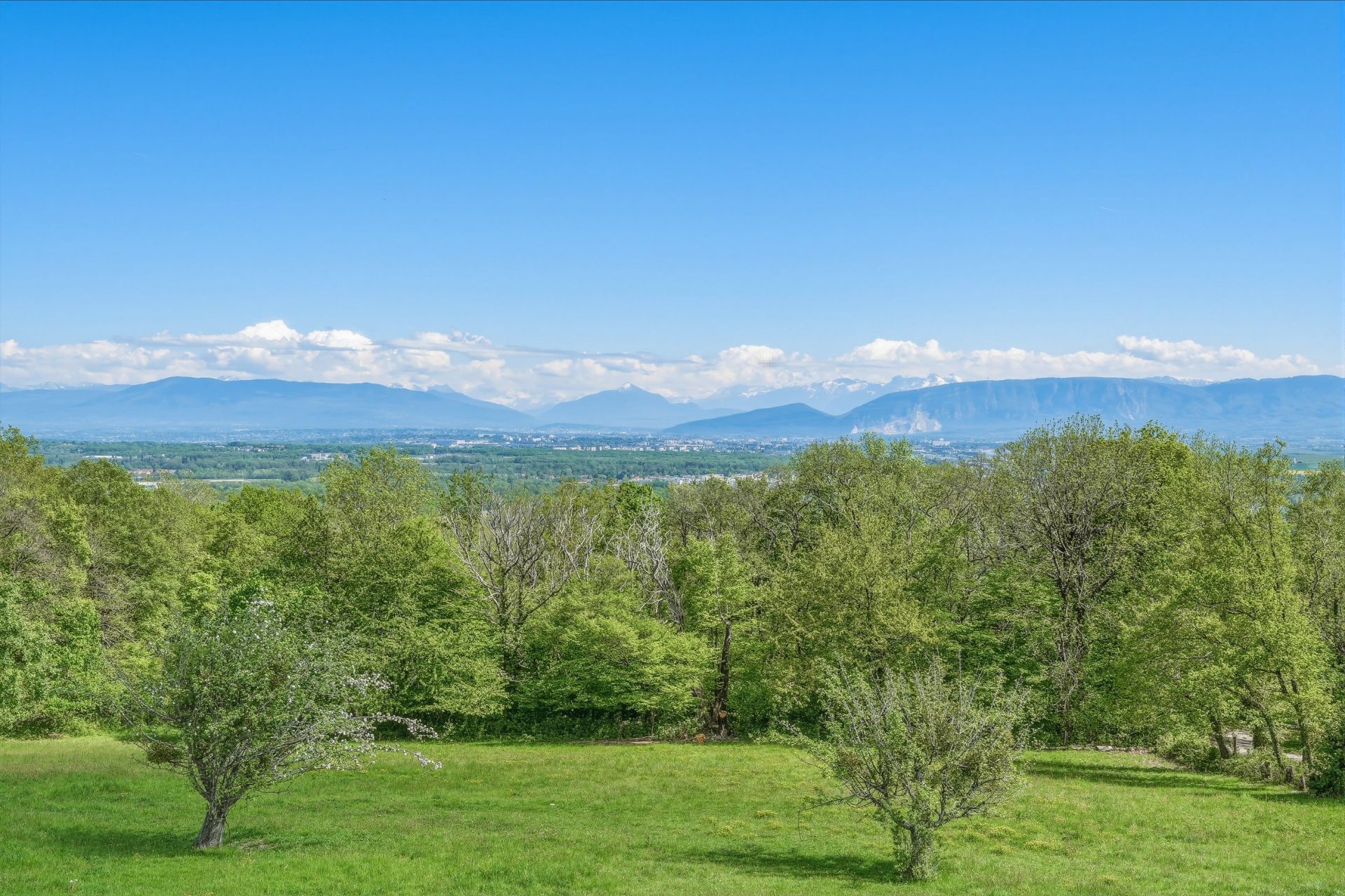 farm complex 8 Rooms for sale on SERGY (01630)