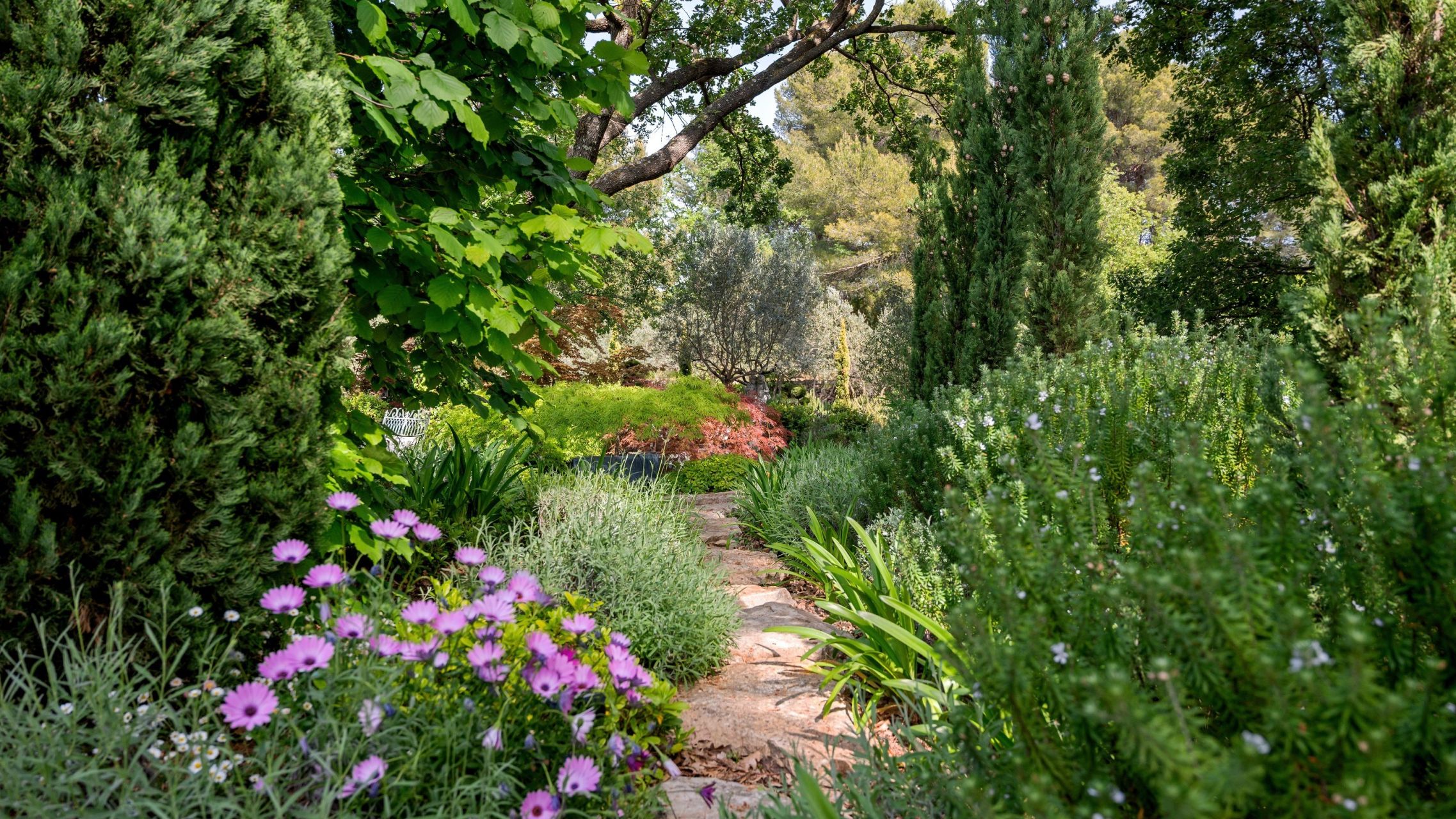 luxury provencale house 7 Rooms for sale on DRAGUIGNAN (83300)
