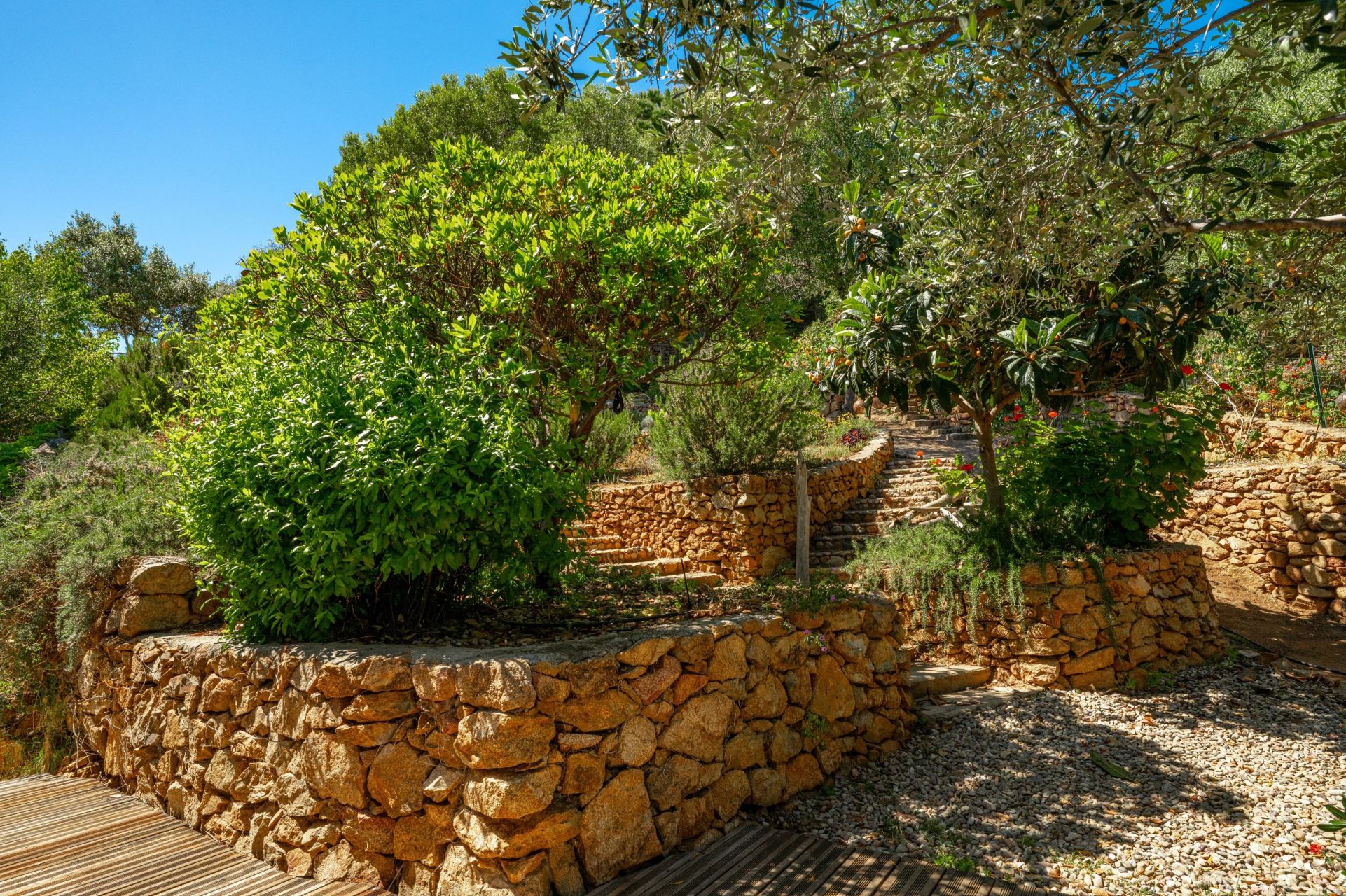 luxury villa 11 Rooms for sale on AJACCIO (20000)