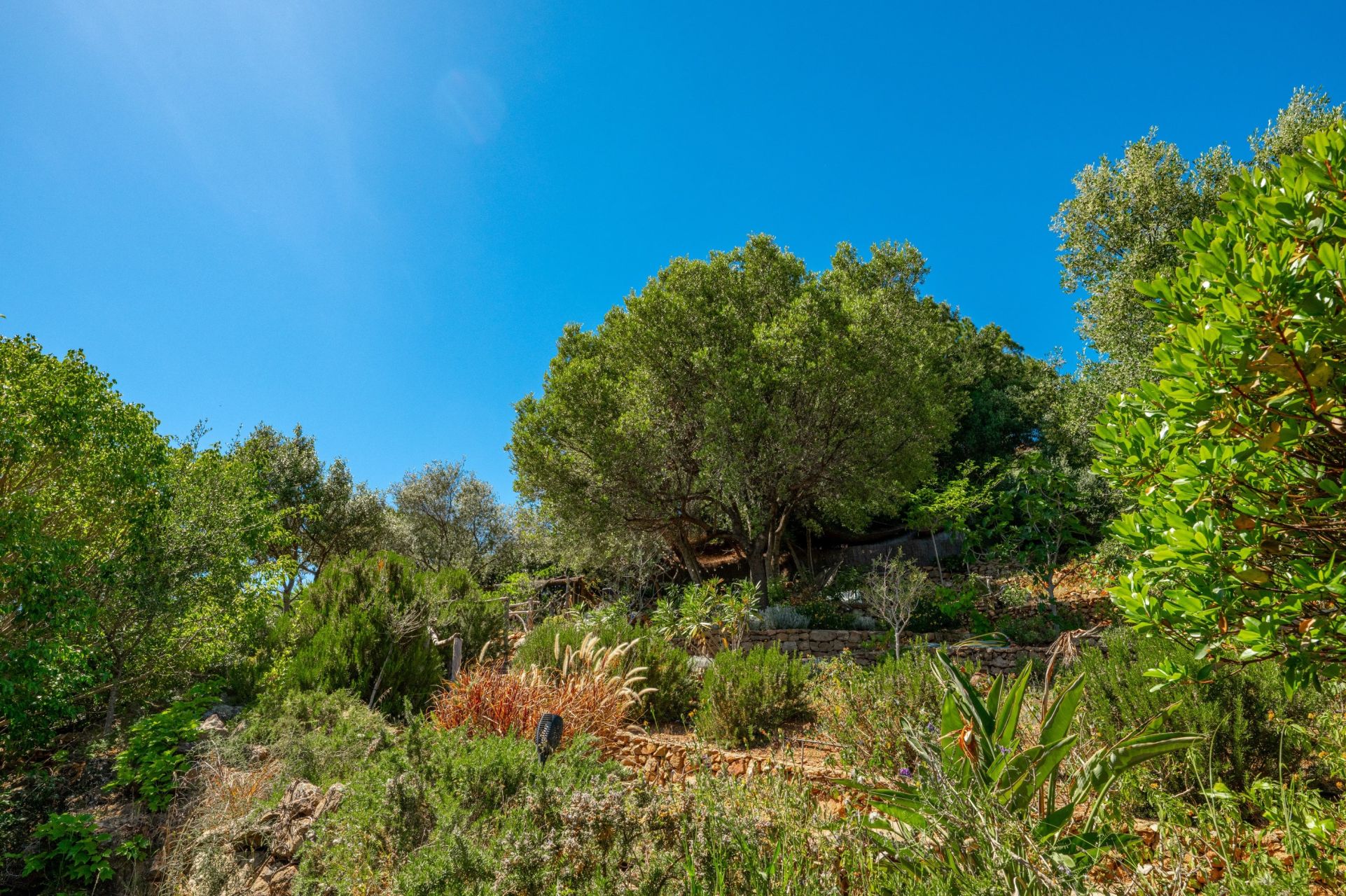 luxury villa 11 Rooms for sale on AJACCIO (20000)