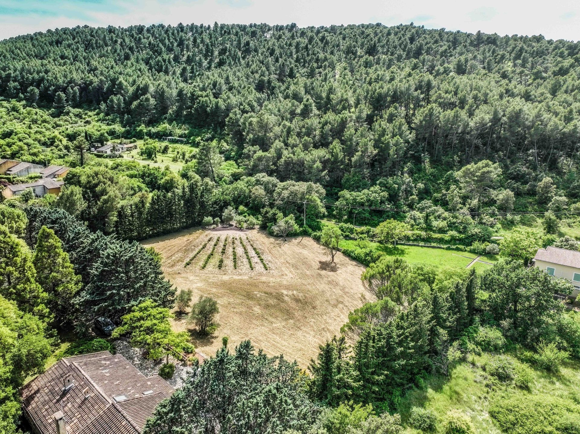 maison de luxe 6 Pièces en vente sur FONTAINE DE VAUCLUSE (84800)