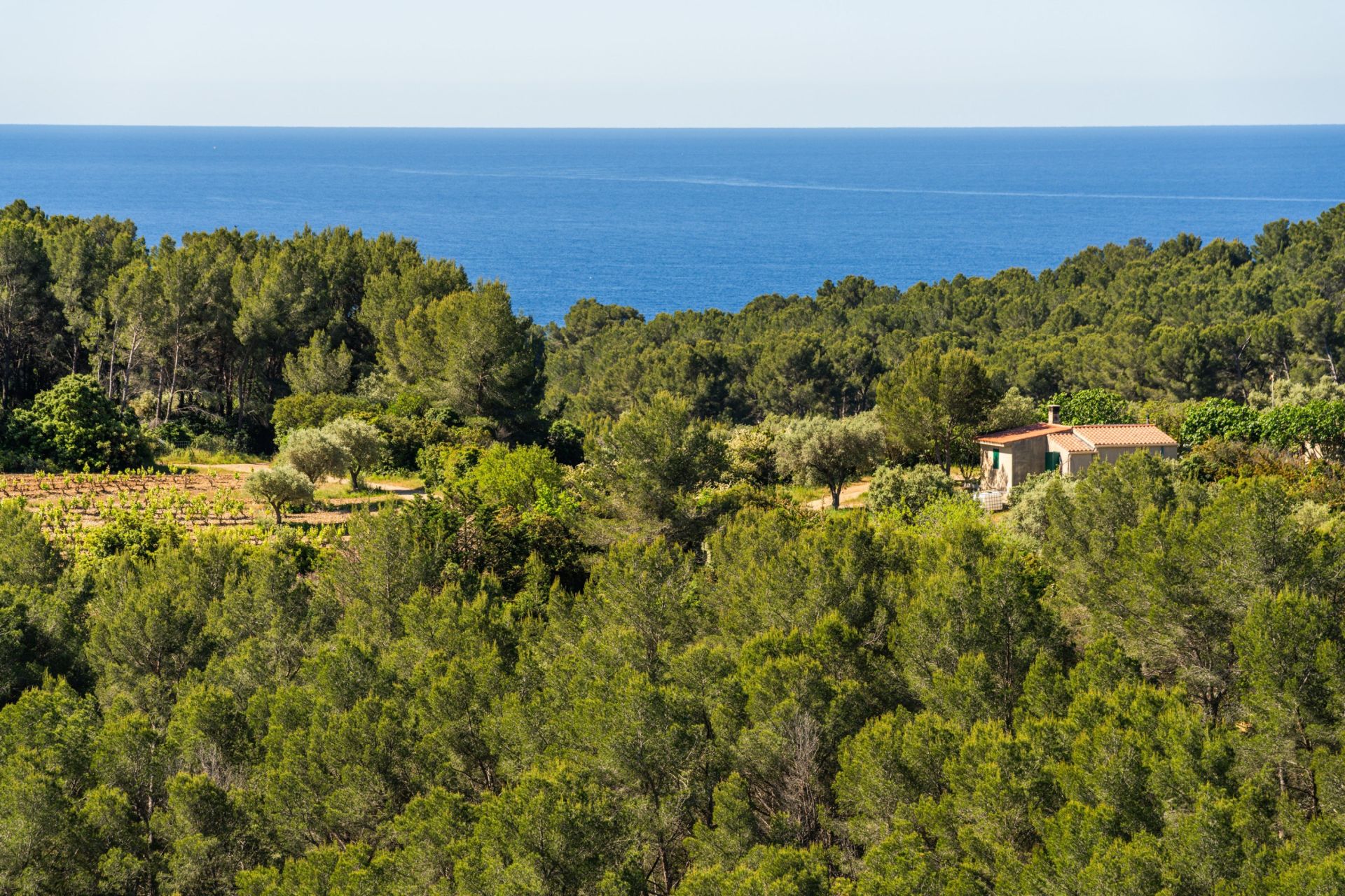 luxury house 5 Rooms for sale on ST CYR SUR MER (83270)