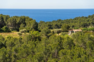 Sale Luxury house Saint-Cyr-sur-Mer 5&nbsp;Rooms 118&nbsp;m²