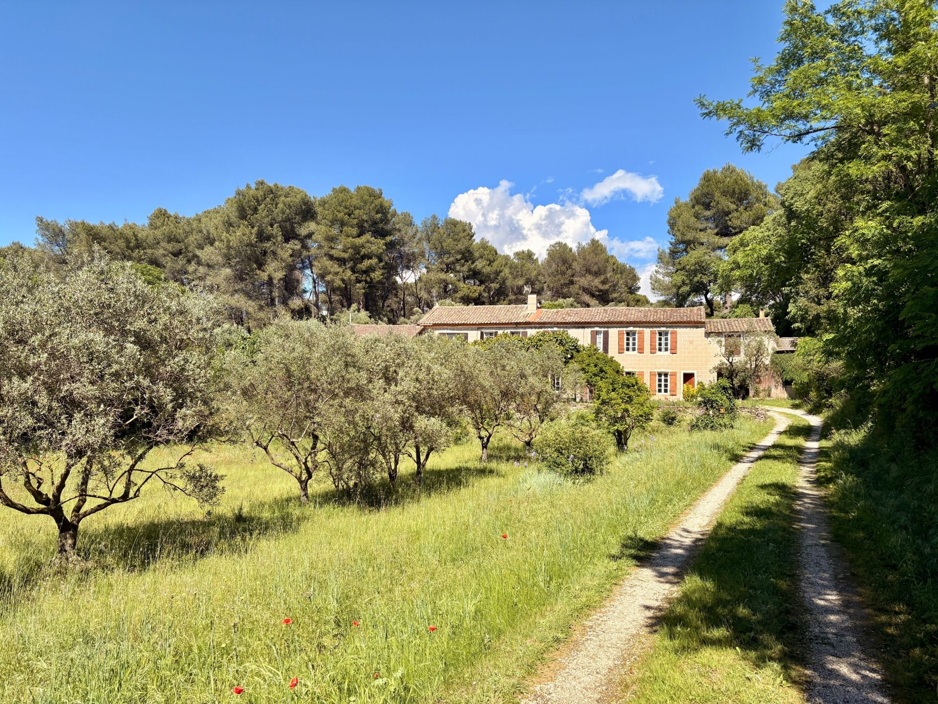 luxury house 8 Rooms for sale on ST ETIENNE DU GRES (13103)