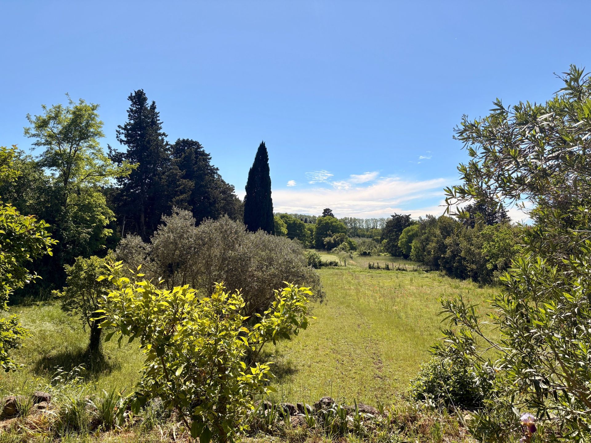 luxury house 8 Rooms for sale on ST ETIENNE DU GRES (13103)