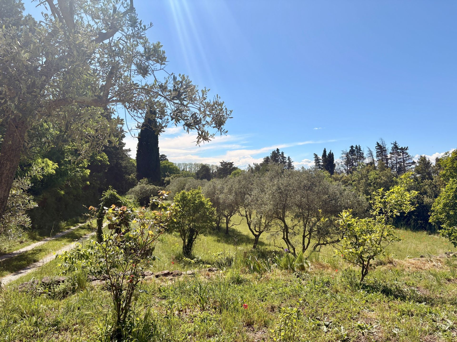 luxury house 8 Rooms for sale on ST ETIENNE DU GRES (13103)