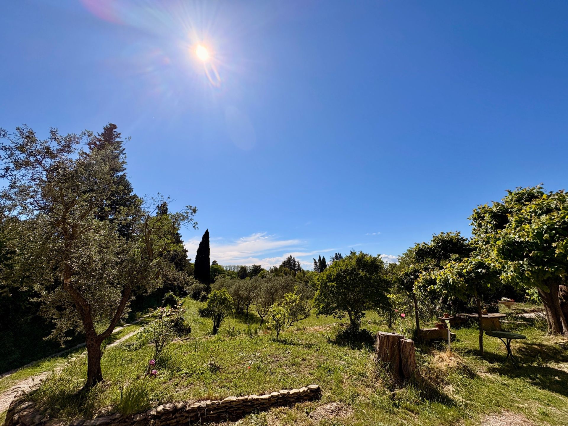 luxury house 8 Rooms for sale on ST ETIENNE DU GRES (13103)
