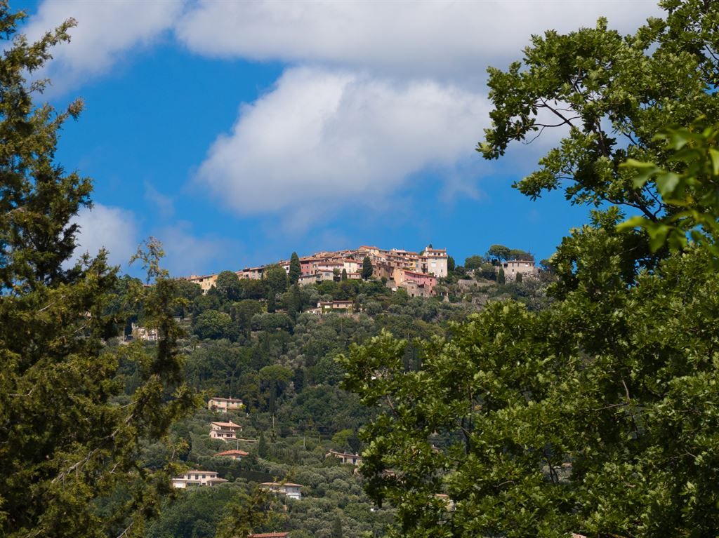 luxury villa 5 Rooms for sale on PEYMEINADE (06530)