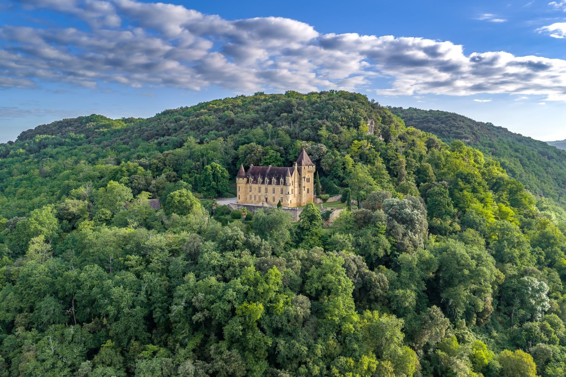 castle 32 Rooms for sale on SARLAT LA CANEDA (24200)