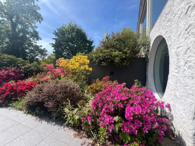 Vente Maison d'architecte Mont-Saint-Aignan 6&nbsp;Pièces 220&nbsp;m²