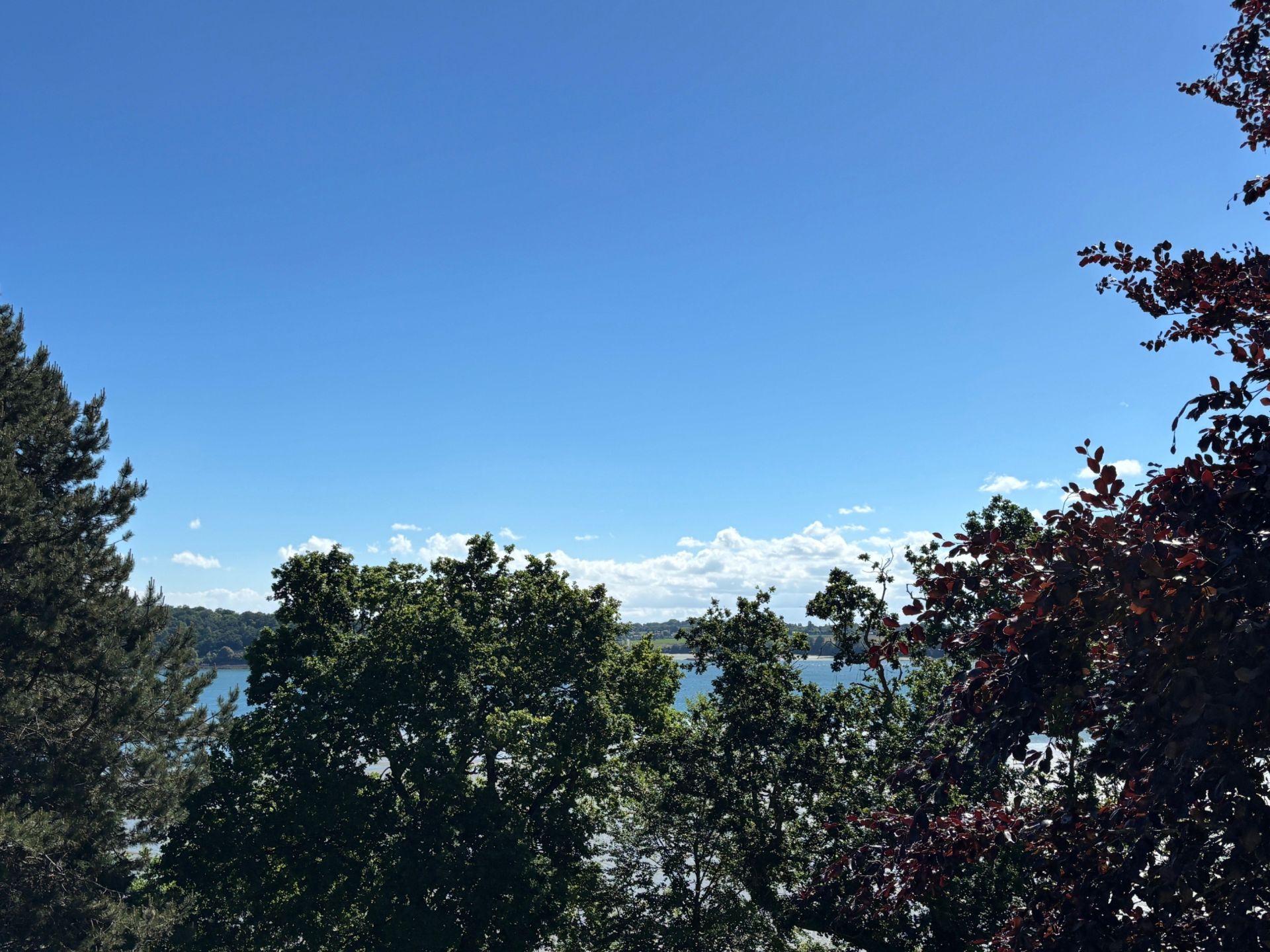 maison de luxe 9 Pièces en vente sur DINARD (35800)