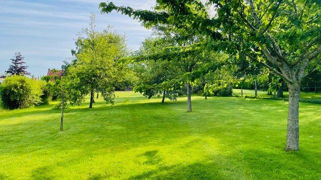 luxury house 13 Rooms for sale on MONS EN PEVELE (59246)