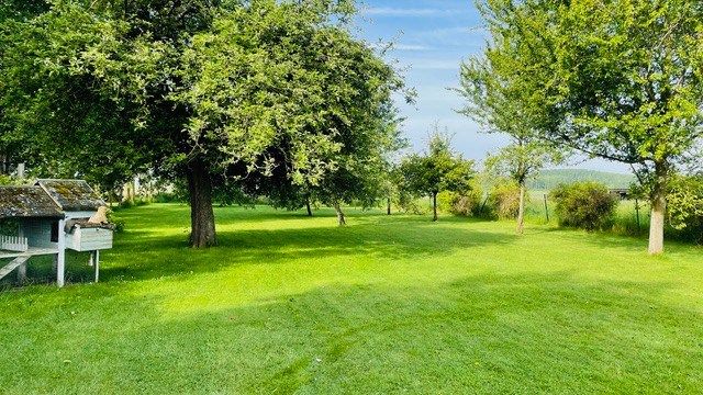 luxury house 13 Rooms for sale on MONS EN PEVELE (59246)