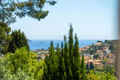 Vente Maison de luxe Carqueiranne 6&nbsp;Pièces 193&nbsp;m²