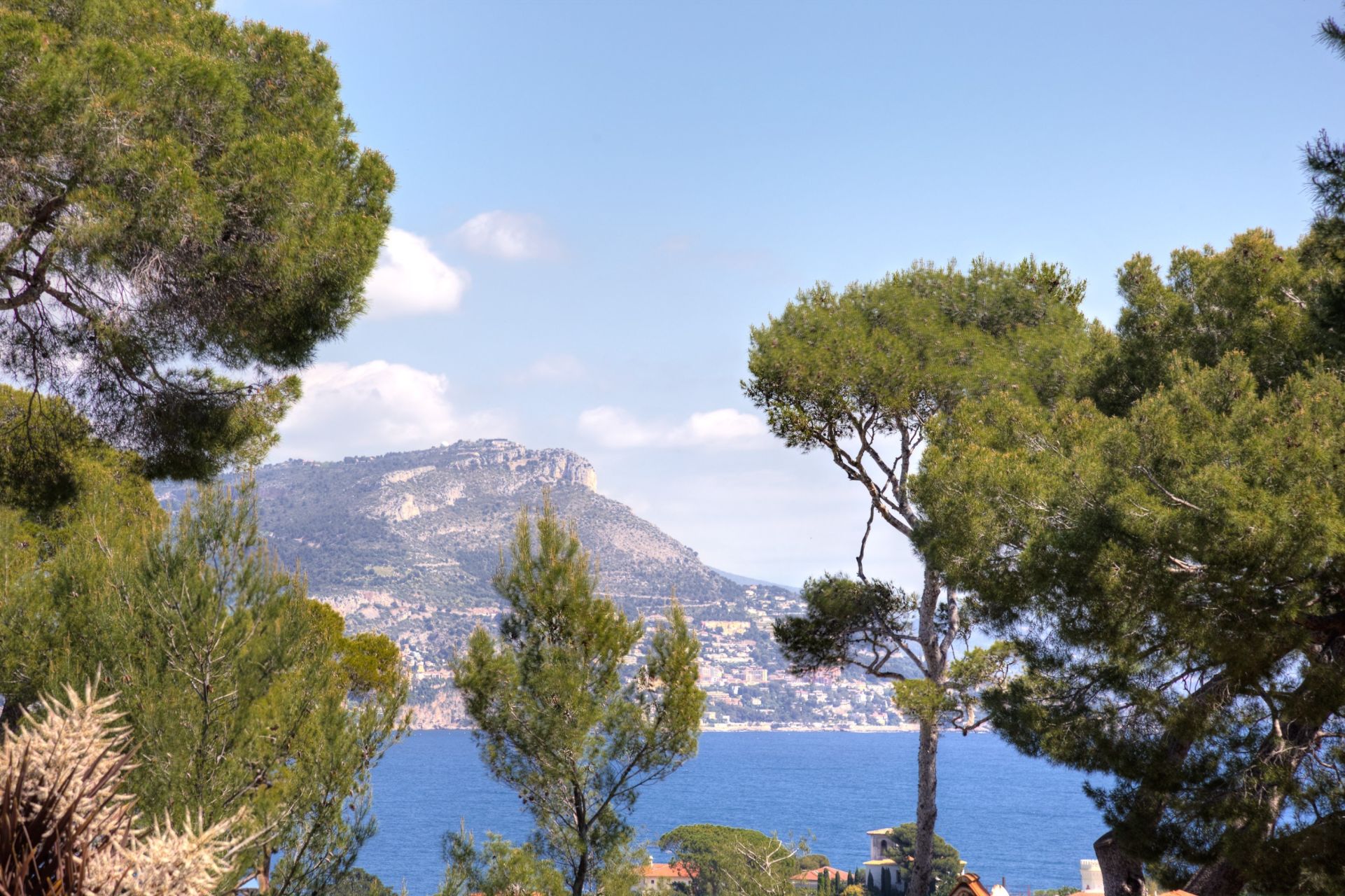 maison contemporaine 8 Pièces en vente sur ST JEAN CAP FERRAT (06230)