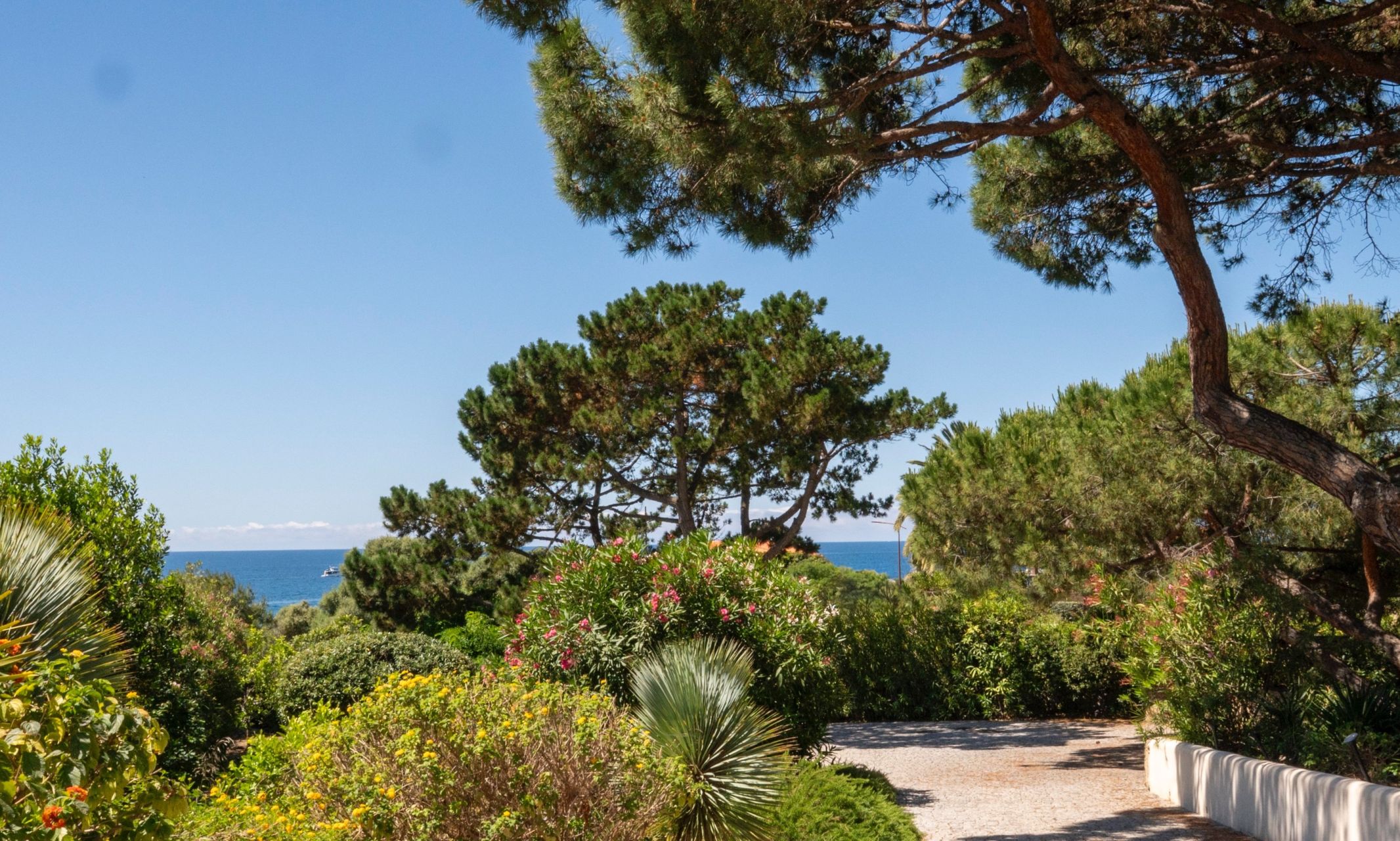 luxury villa 7 Rooms for sale on AJACCIO (20000)