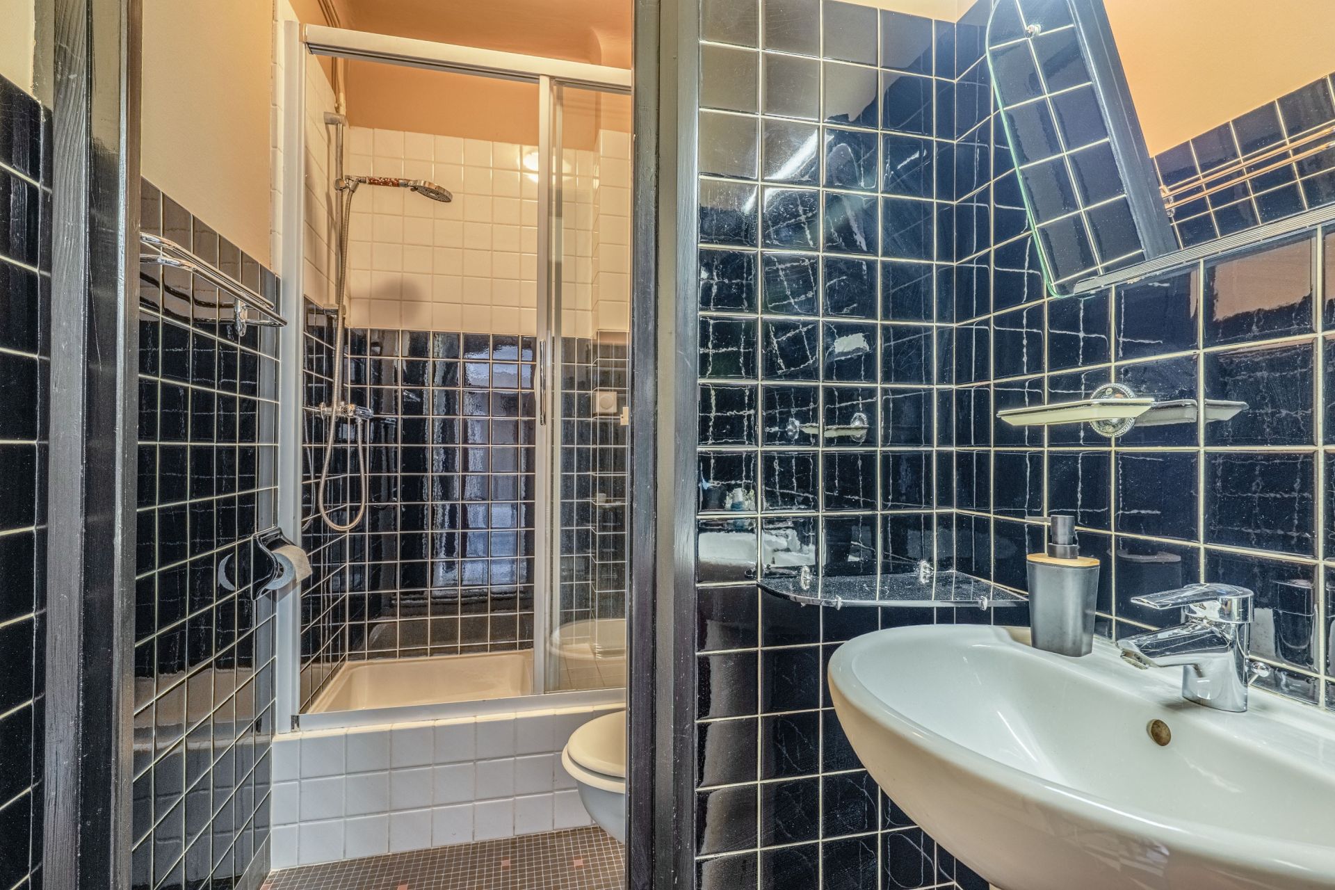 luxury apartment 6 Rooms for sale on CALUIRE ET CUIRE (69300)