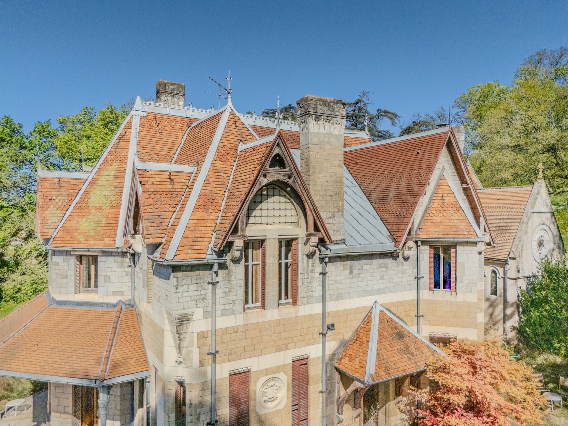 castle 22 Rooms for sale on REYRIEUX (01600)