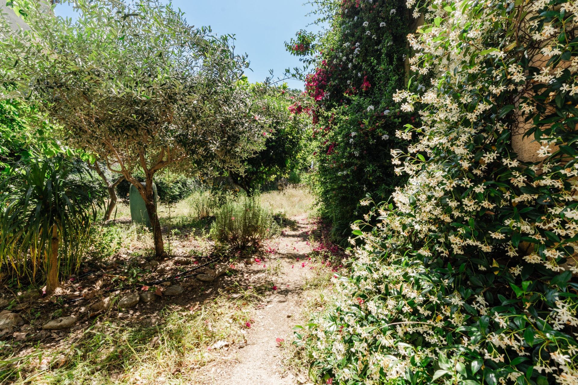 maison de luxe 7 Pièces en vente sur ARGELES SUR MER (66700)
