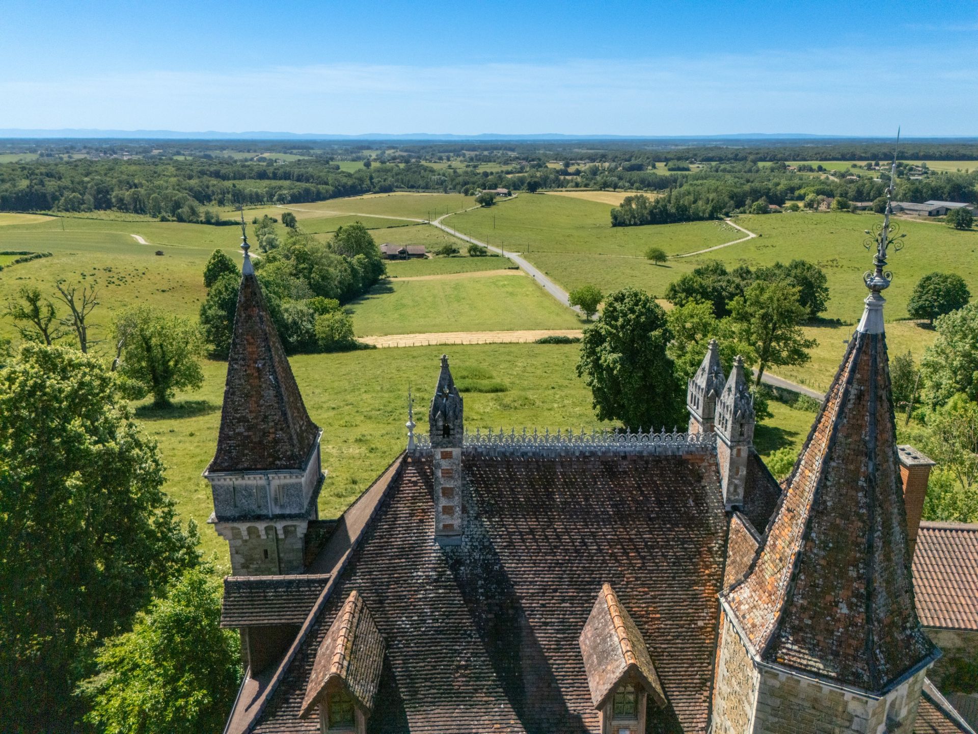 castle 14 Rooms for sale on COLIGNY (01270)