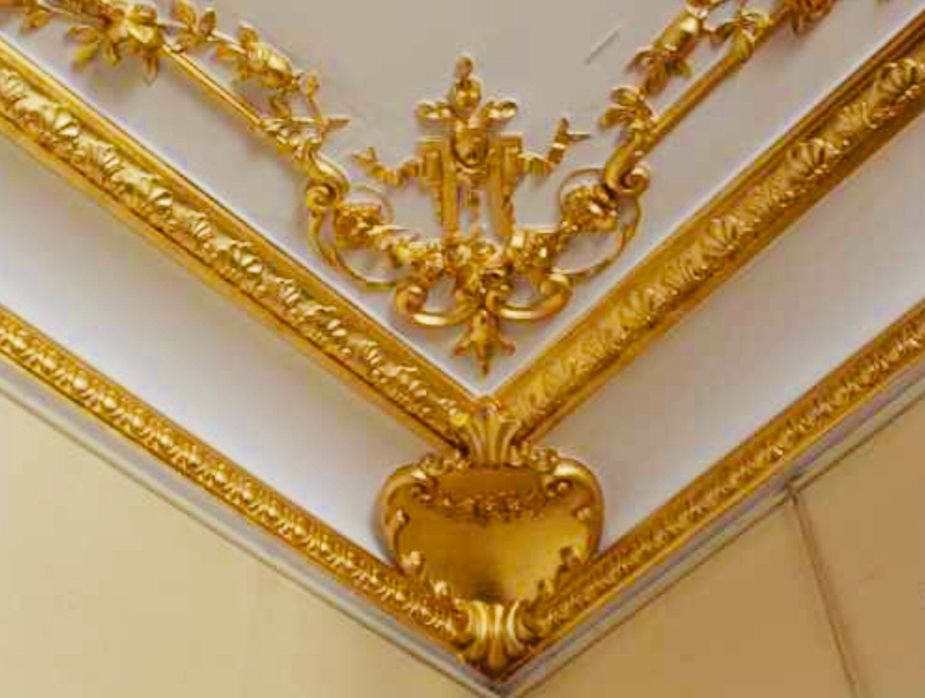 manor house 12 Rooms for sale on LOCHES (37600)