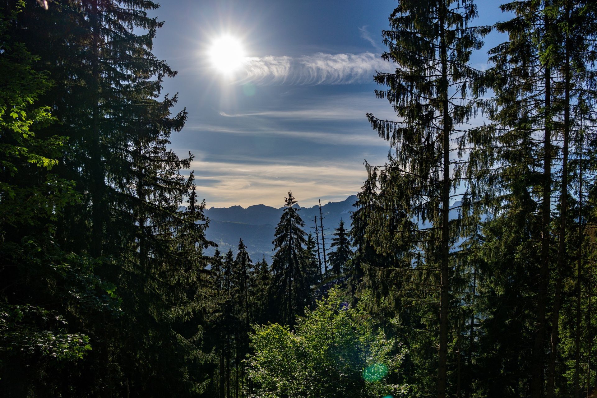 chalet de luxe 7 Pièces en vente sur ST GERVAIS LES BAINS (74170)