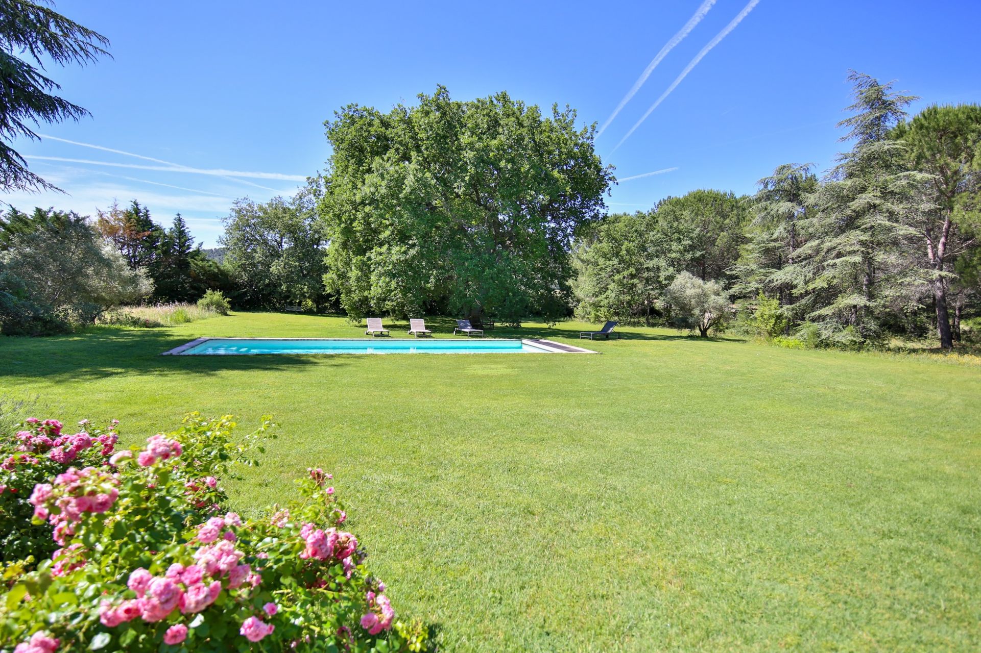 luxury house 12 Rooms for sale on CUCURON (84160)